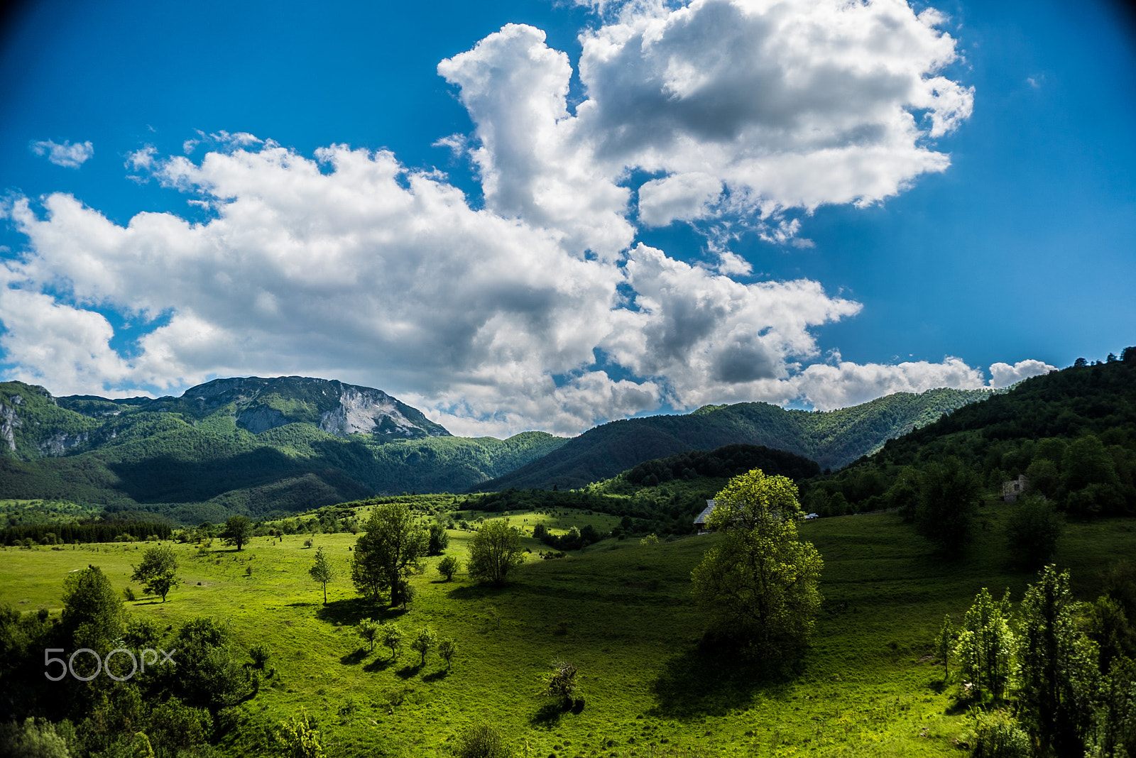 Sony a7S sample photo. _dsc9099.jpg photography