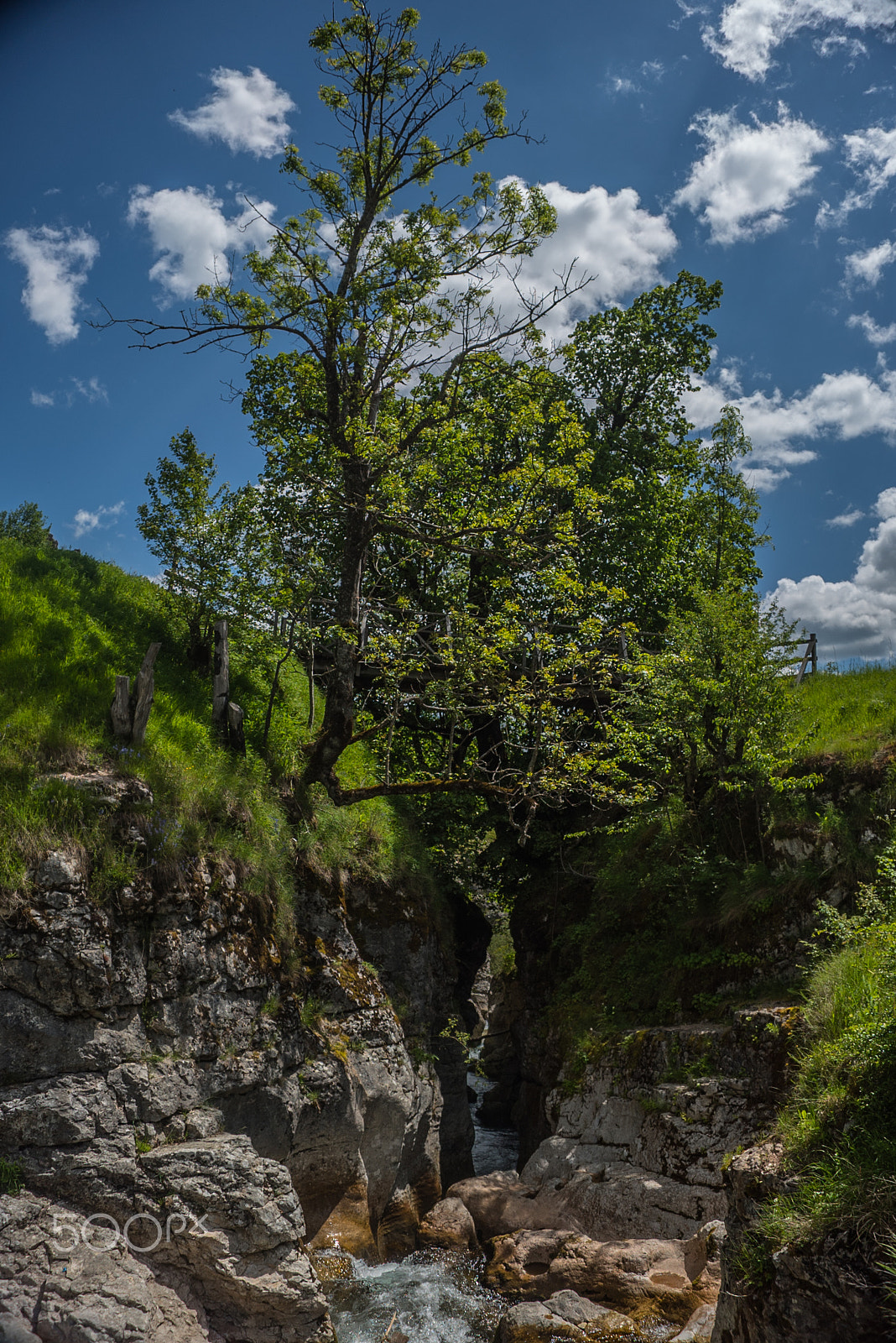 Sony a7S sample photo. _dsc8962.jpg photography