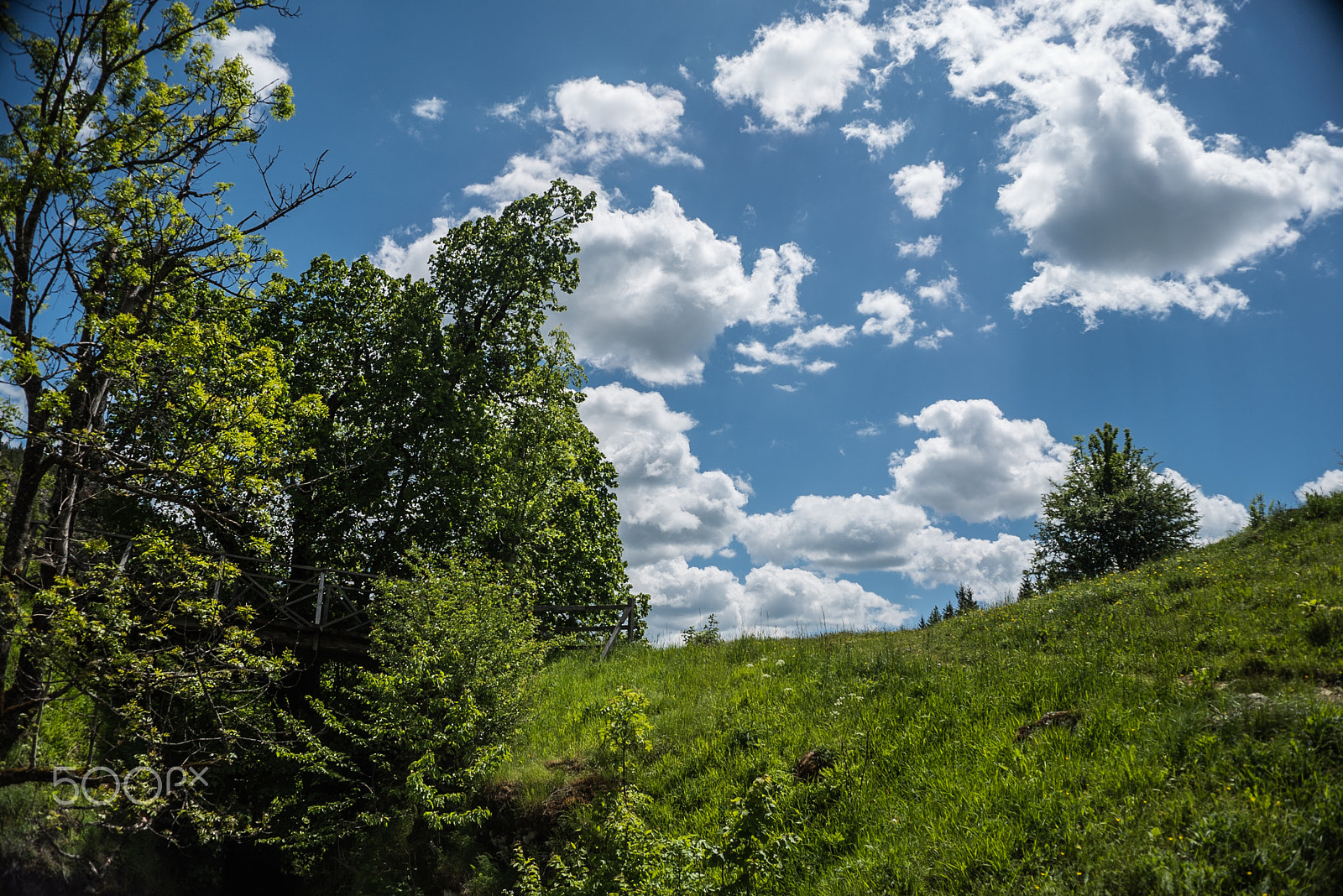 Sony a7S sample photo. _dsc8958.jpg photography