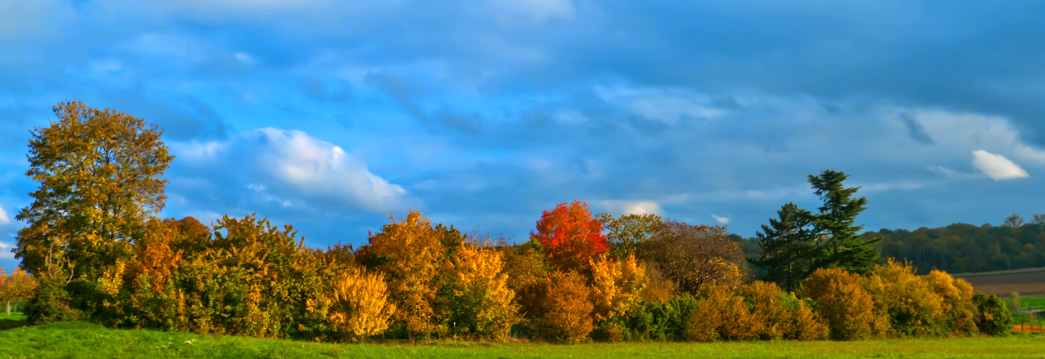Panasonic Lumix DMC-GH1 sample photo. Automne photography