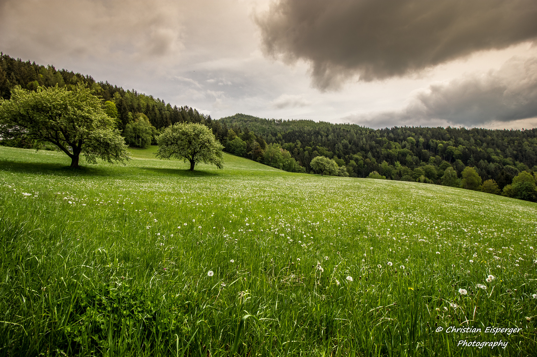 Canon EF-S 10-18mm F4.5–5.6 IS STM sample photo. Steiermark photography