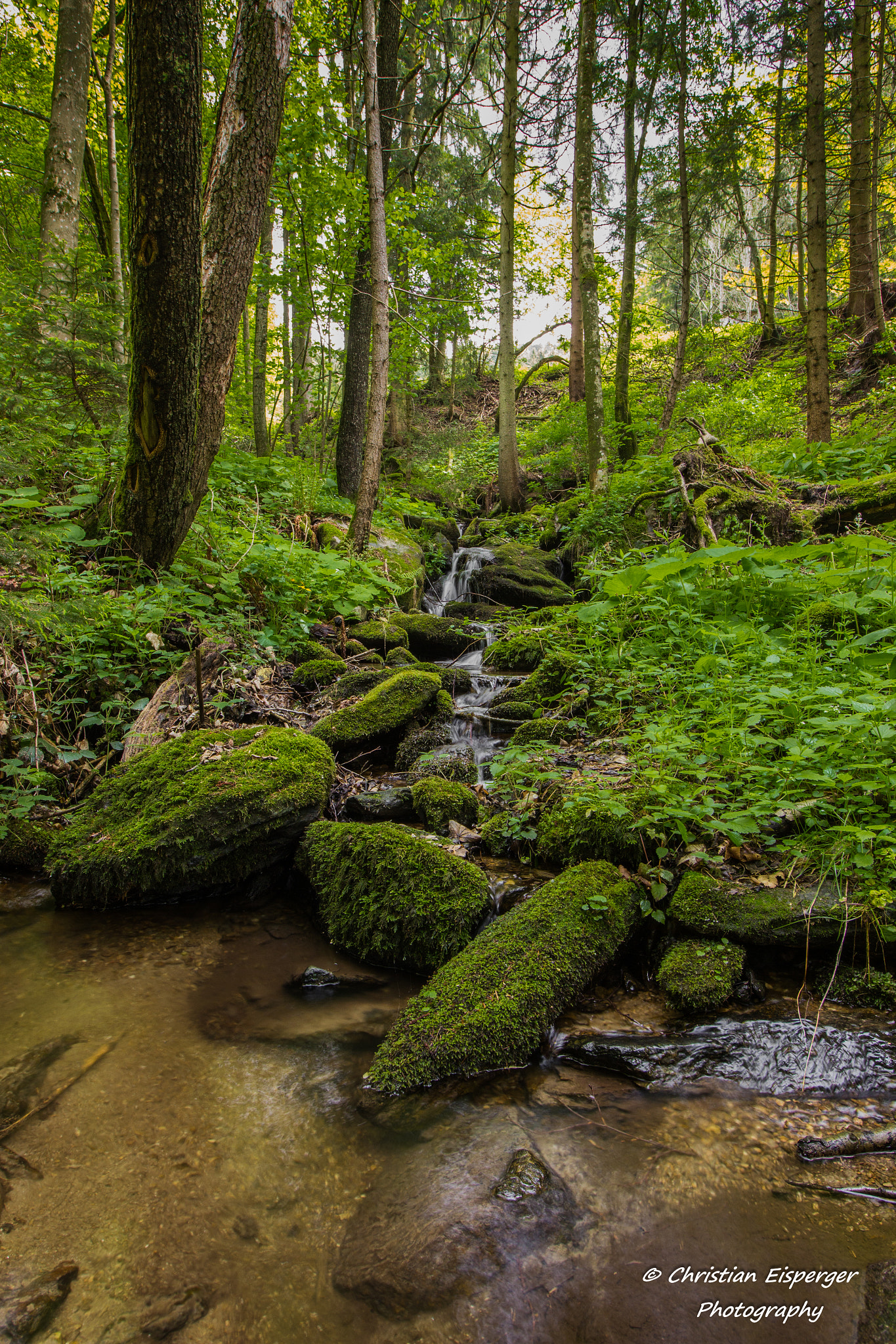 Canon EF-S 10-18mm F4.5–5.6 IS STM sample photo. Steiermark photography