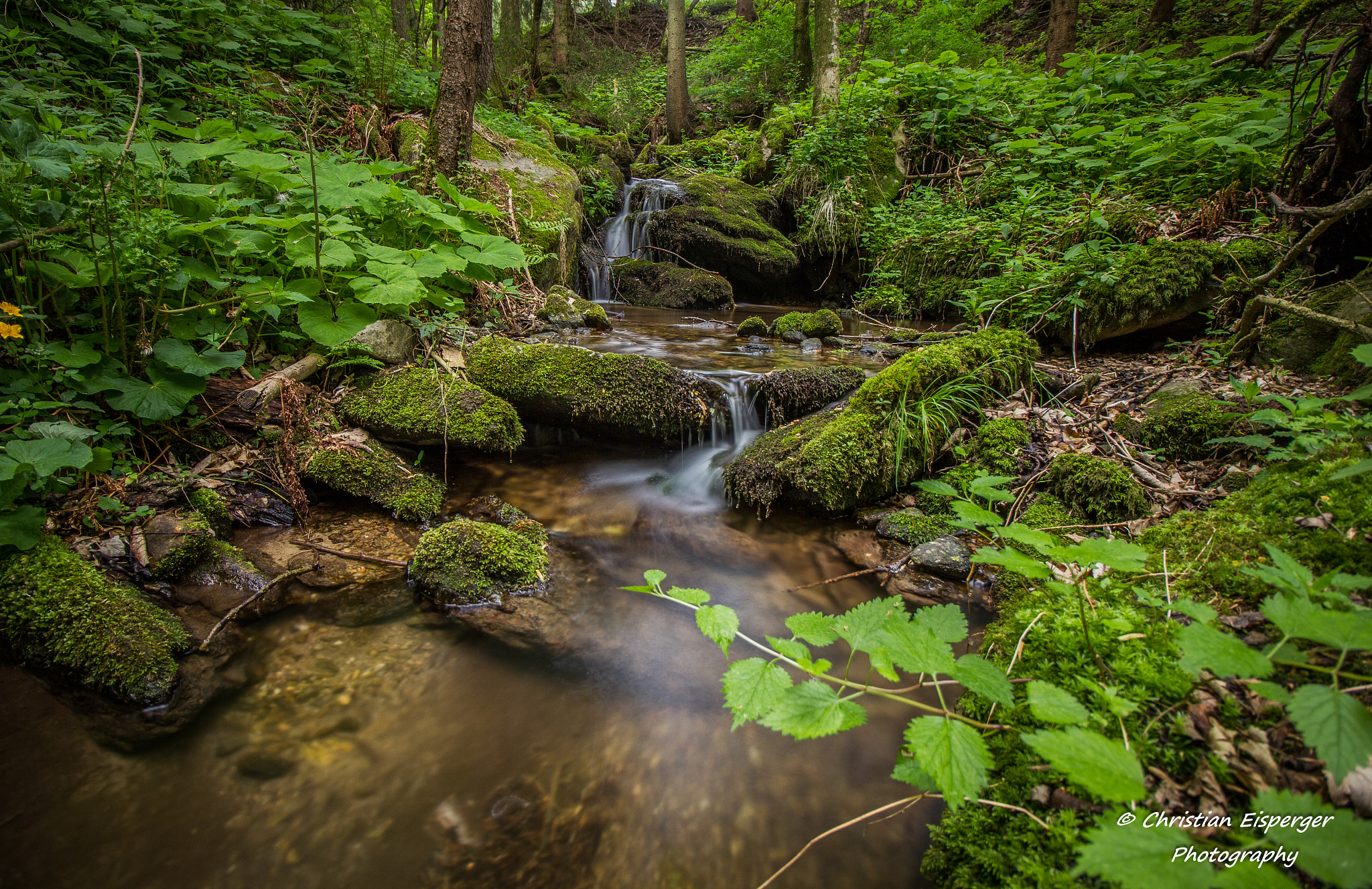 Canon EF-S 10-18mm F4.5–5.6 IS STM sample photo. Steiermark photography