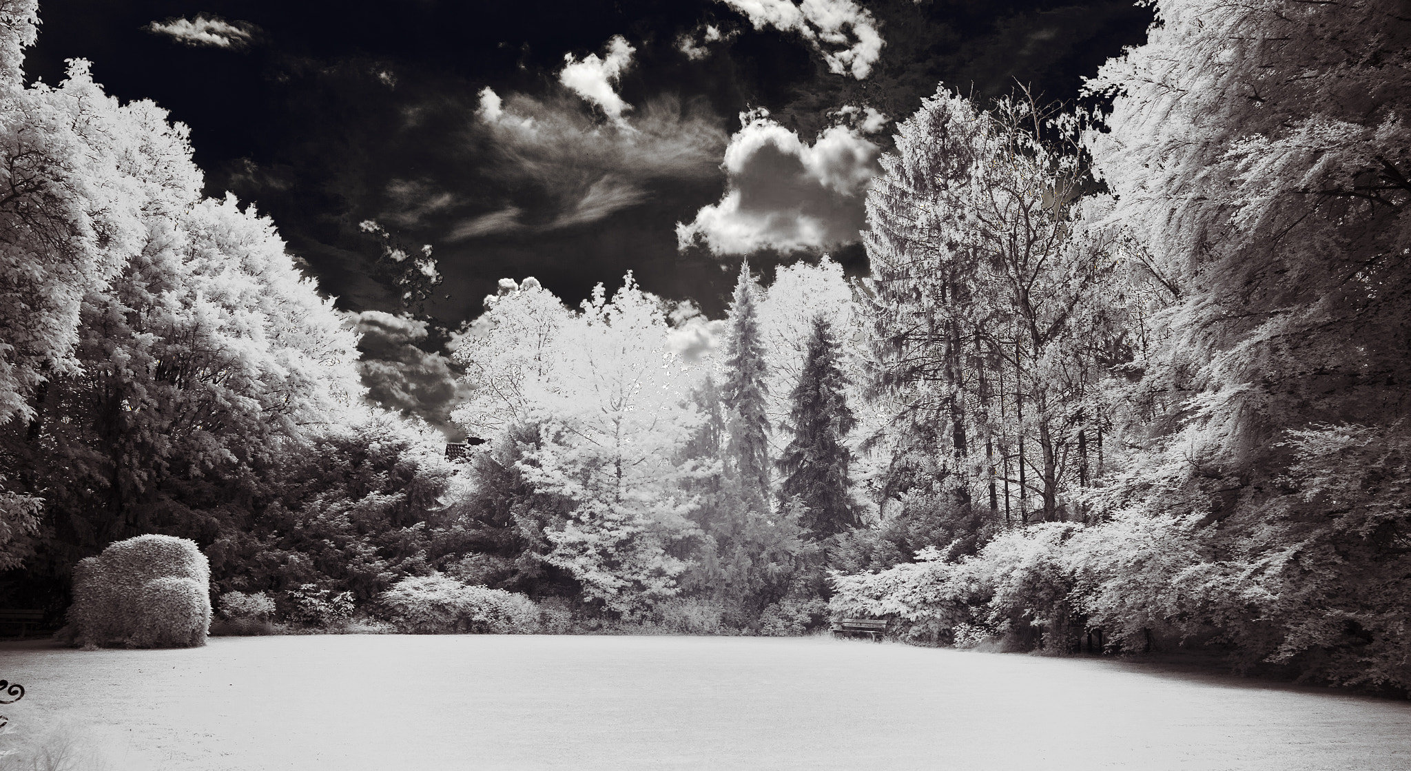 Canon EF 24-70mm F2.8L II USM sample photo. Ir parklife photography