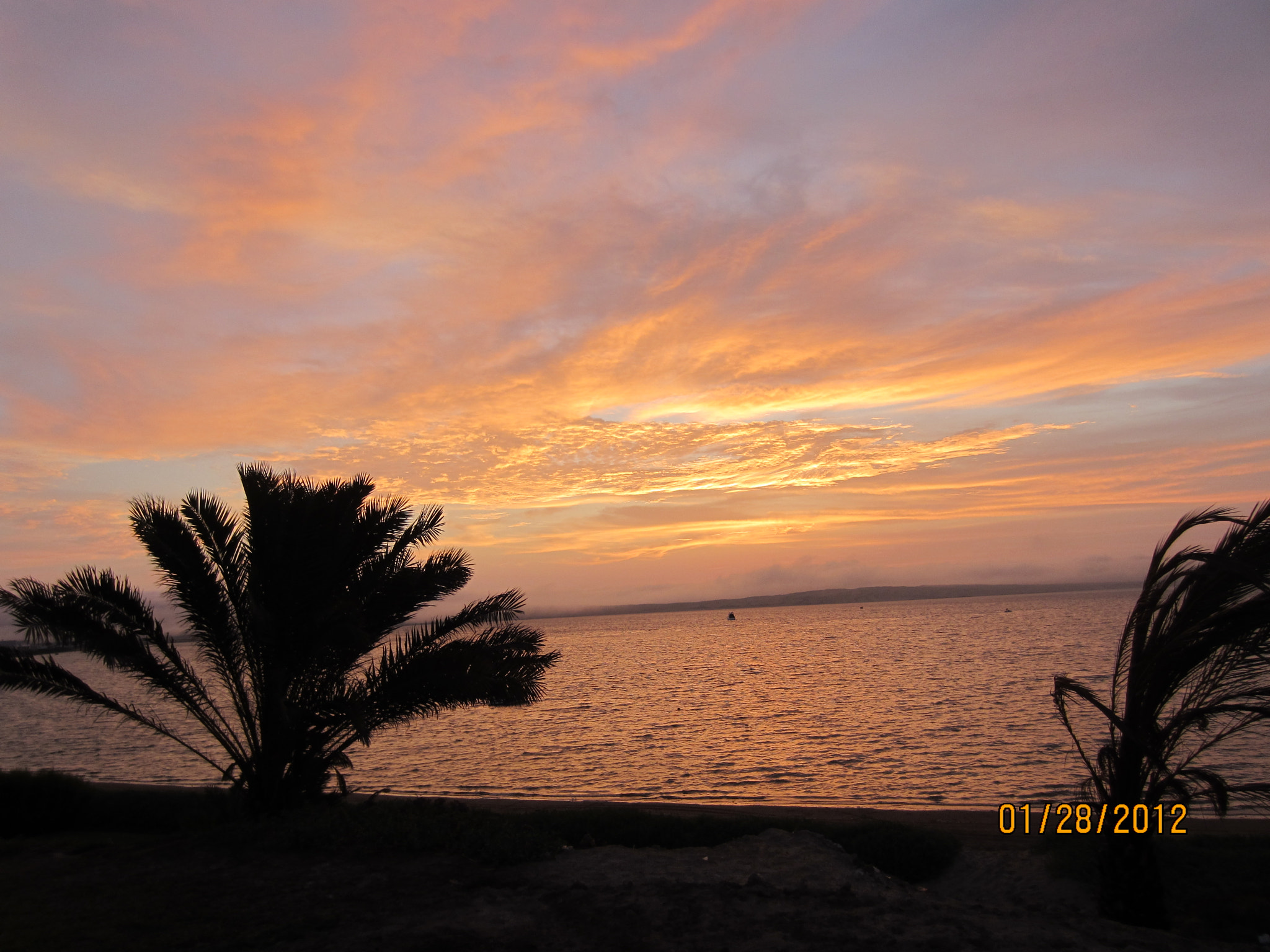 Canon PowerShot ELPH 300 HS (IXUS 220 HS / IXY 410F) sample photo. Paracas, peru photography