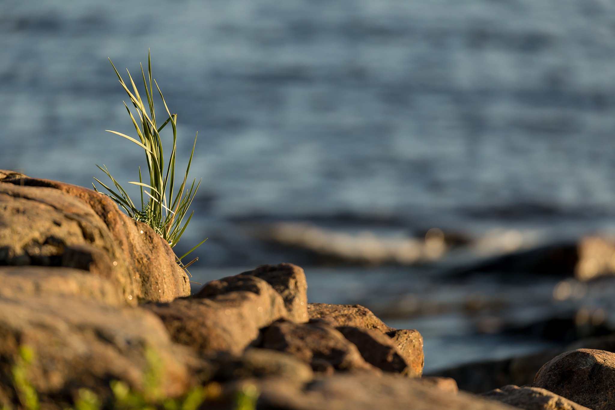 Canon EF 100-400mm F4.5-5.6L IS II USM sample photo