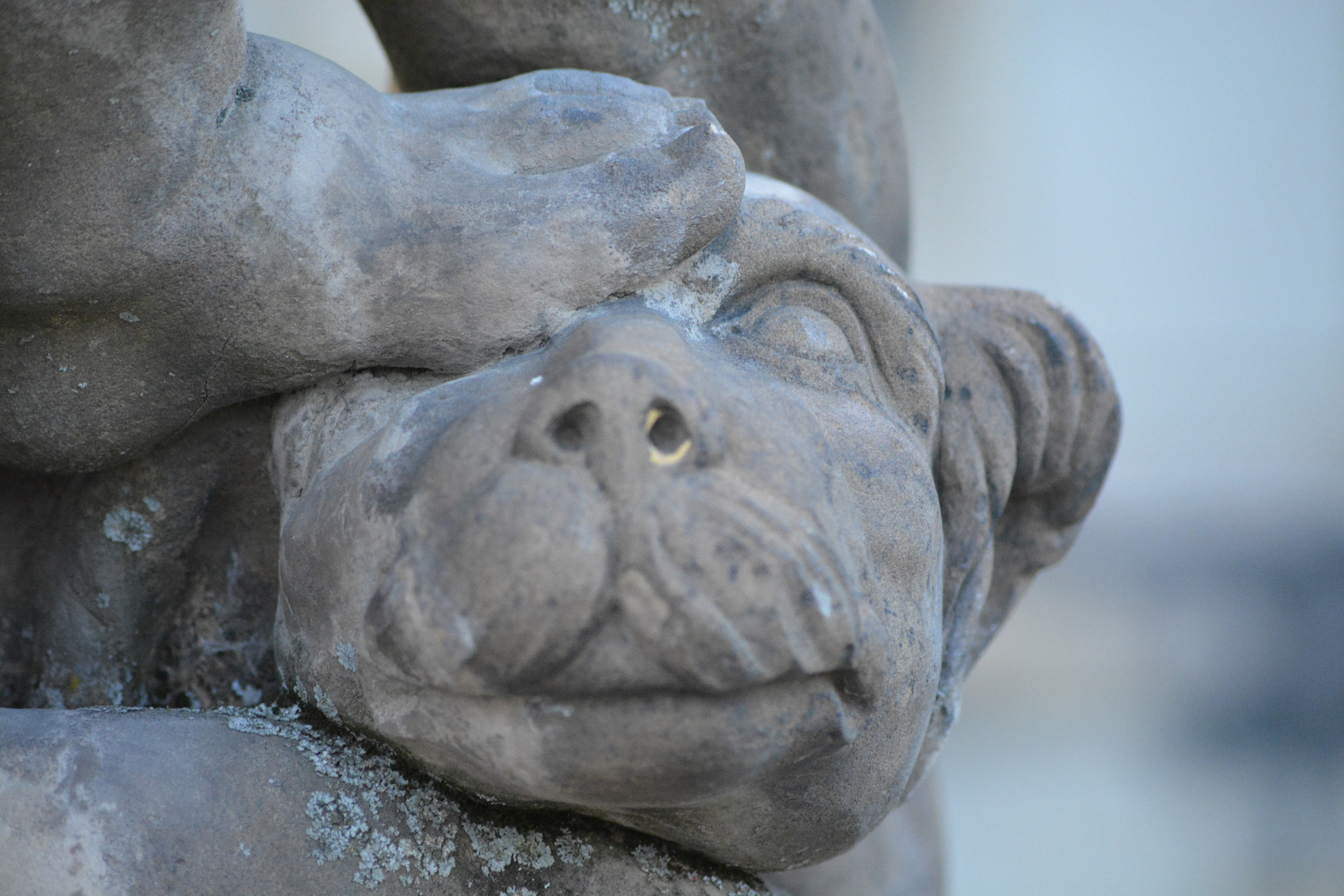 Sigma 70-300mm F4-5.6 APO Macro Super II sample photo
