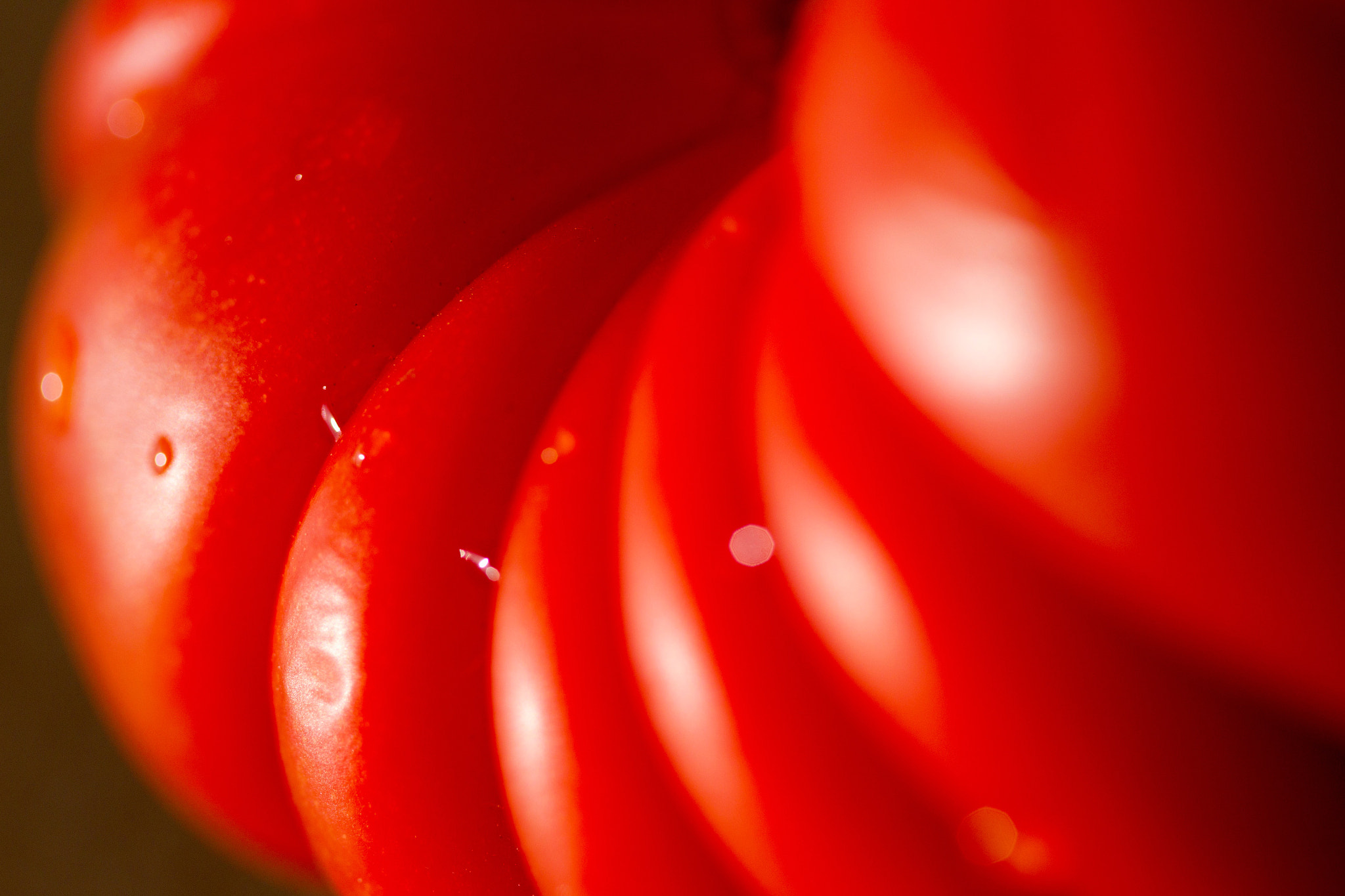 Canon EOS-1D Mark IV sample photo. Lovely tomato photography