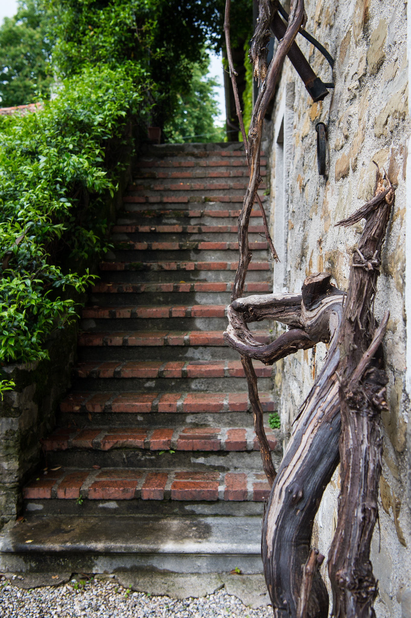 Nikon D4S sample photo. Staircase photography