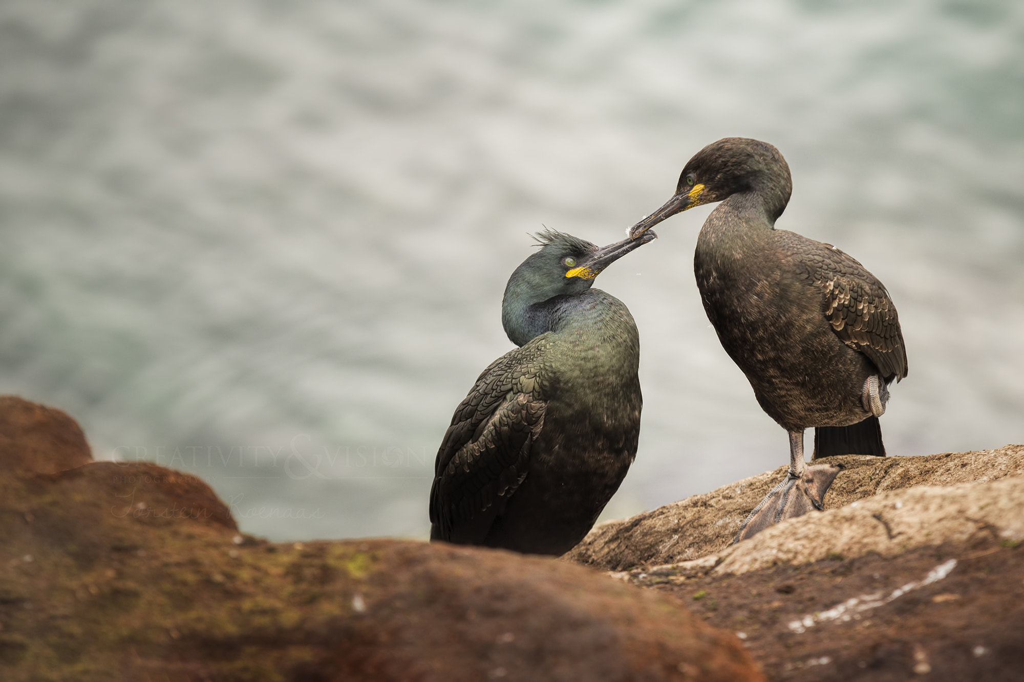 Pentax K-1 sample photo. Mother´s affection photography