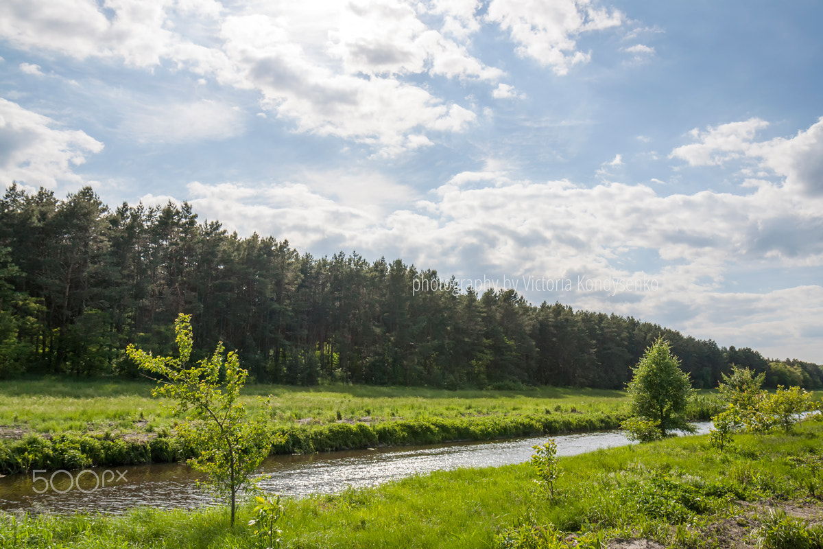 Canon EOS 1000D (EOS Digital Rebel XS / EOS Kiss F) sample photo. Summer landscape with a river photography