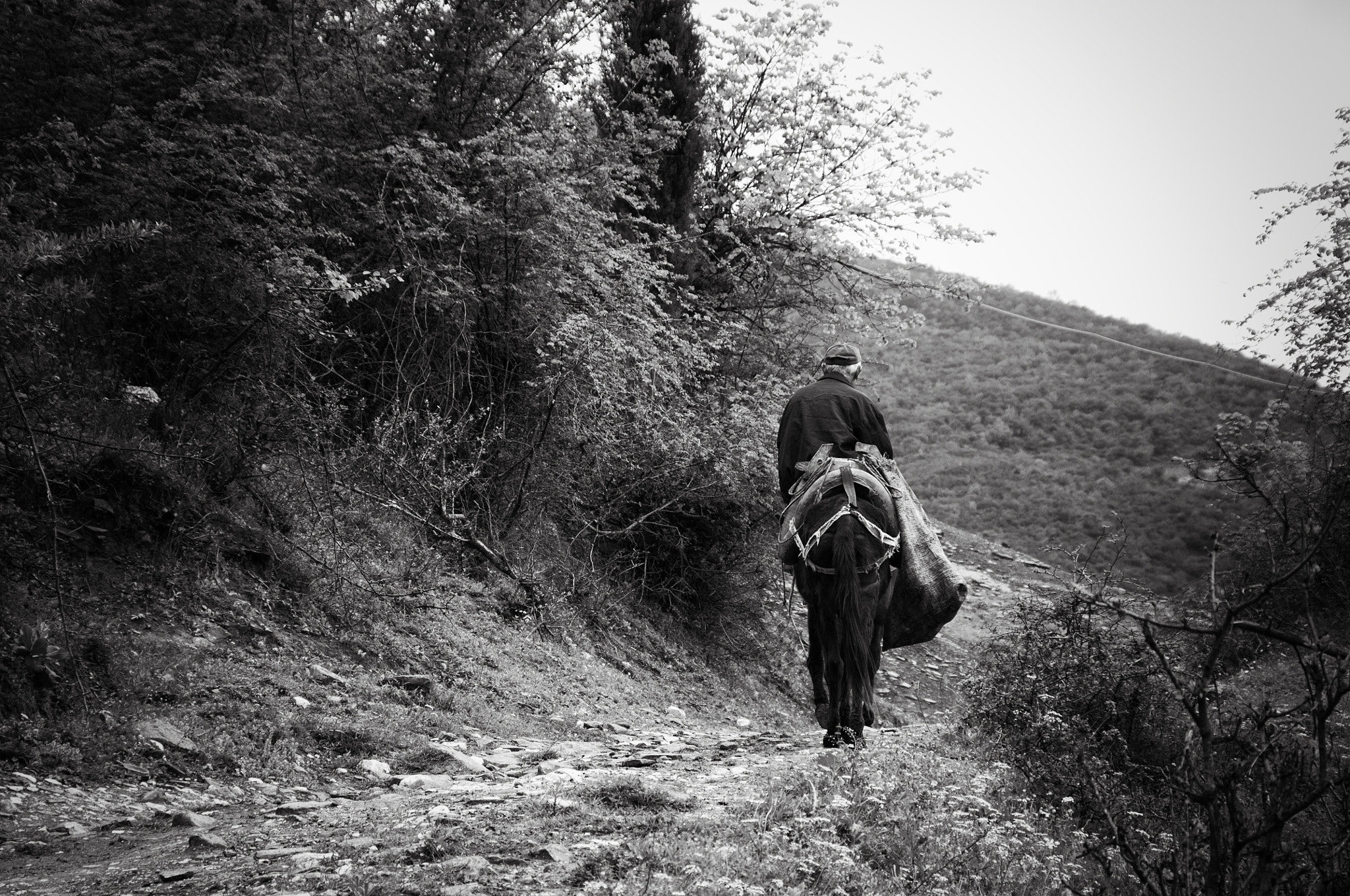 Sigma 18-200mm F3.5-6.3 DC OS HSM sample photo. Villager photography