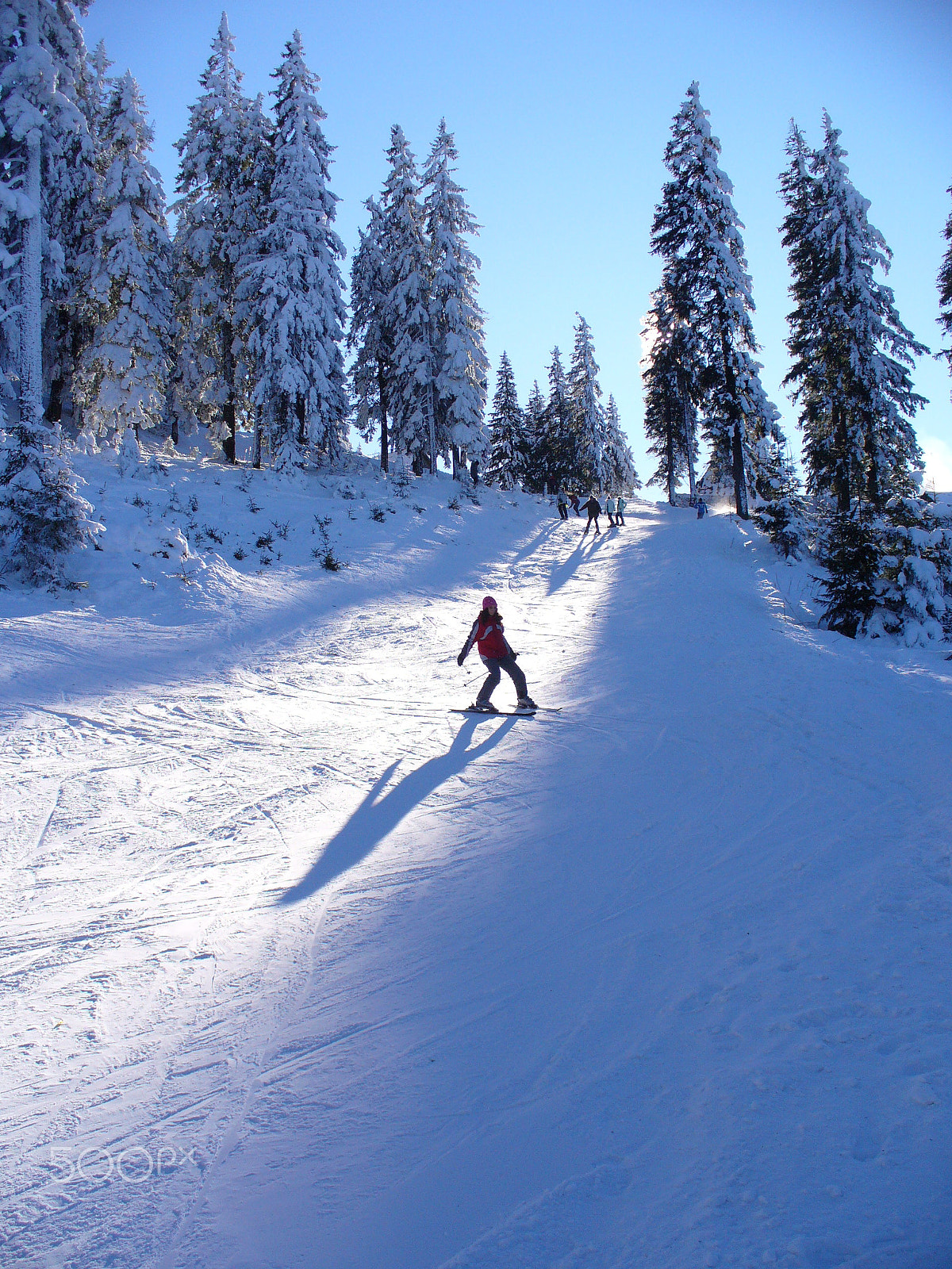 Panasonic DMC-LZ2 sample photo. Skiing over the sunshine photography