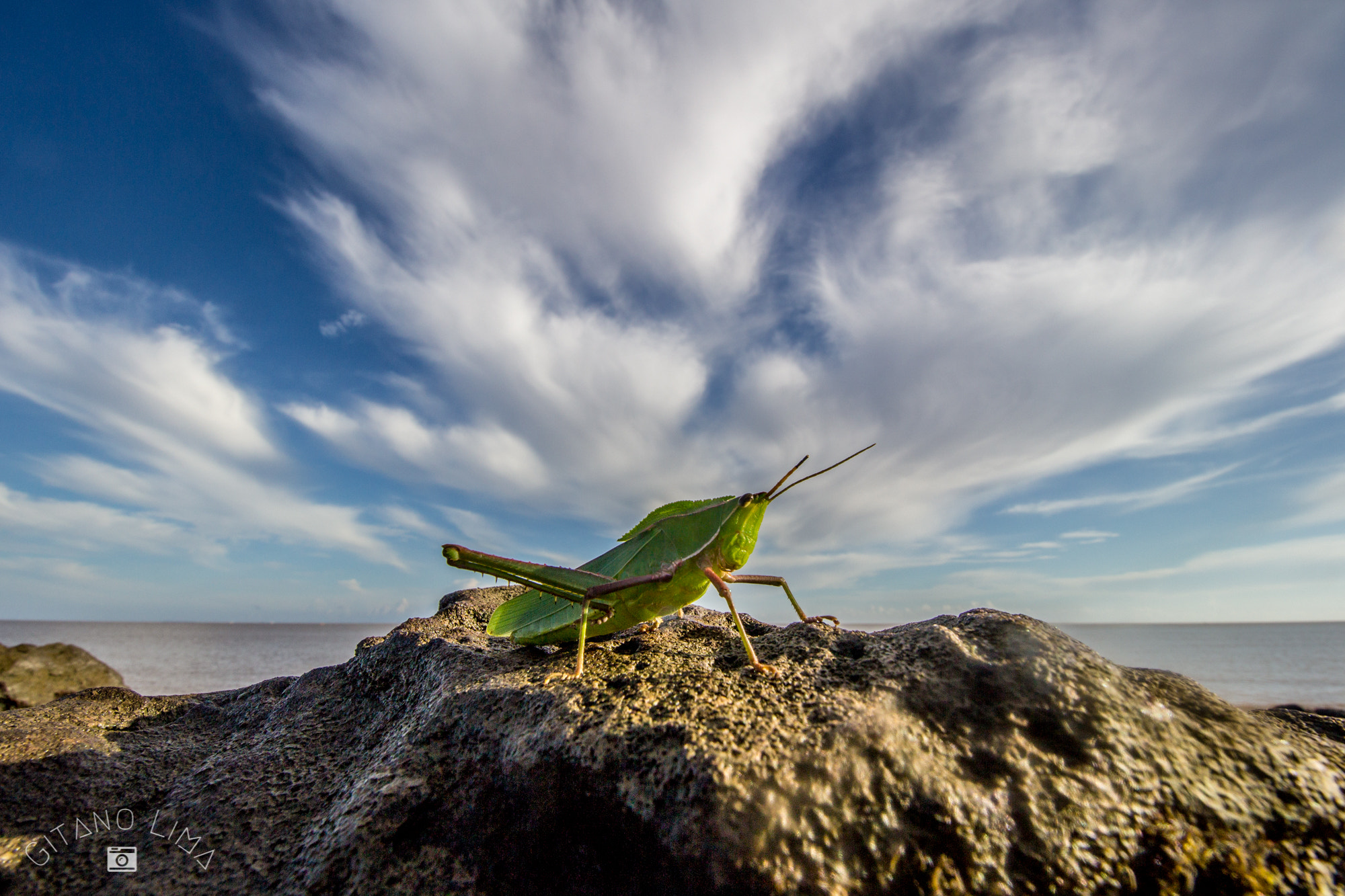 Canon EF-S 10-18mm F4.5–5.6 IS STM sample photo. O dono do pedaço photography