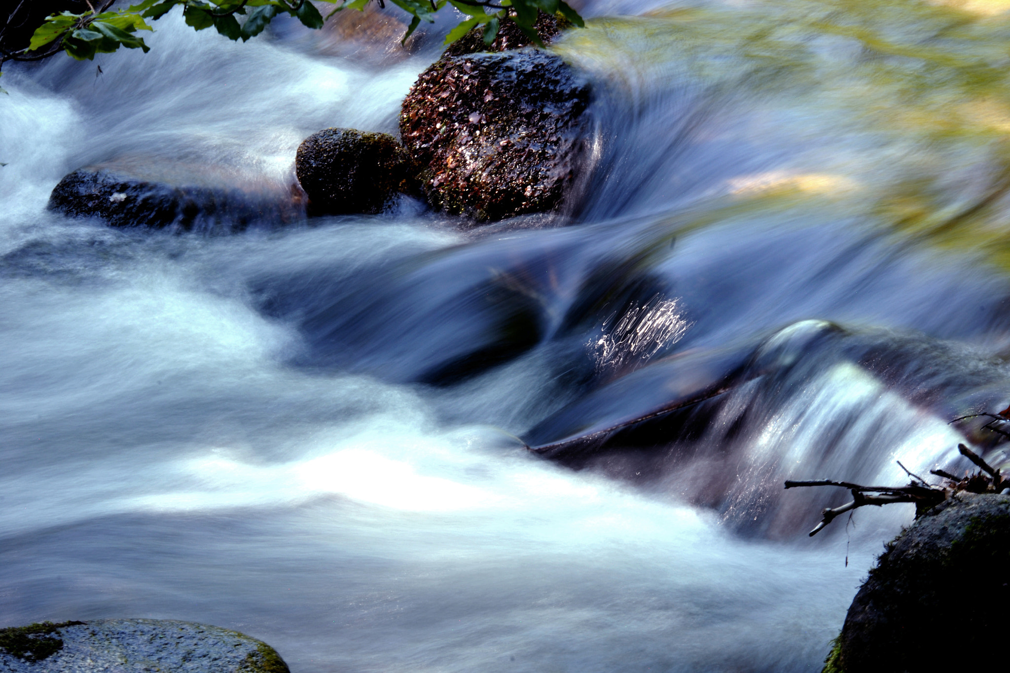 AF Nikkor 70-210mm f/4-5.6 sample photo. *** photography
