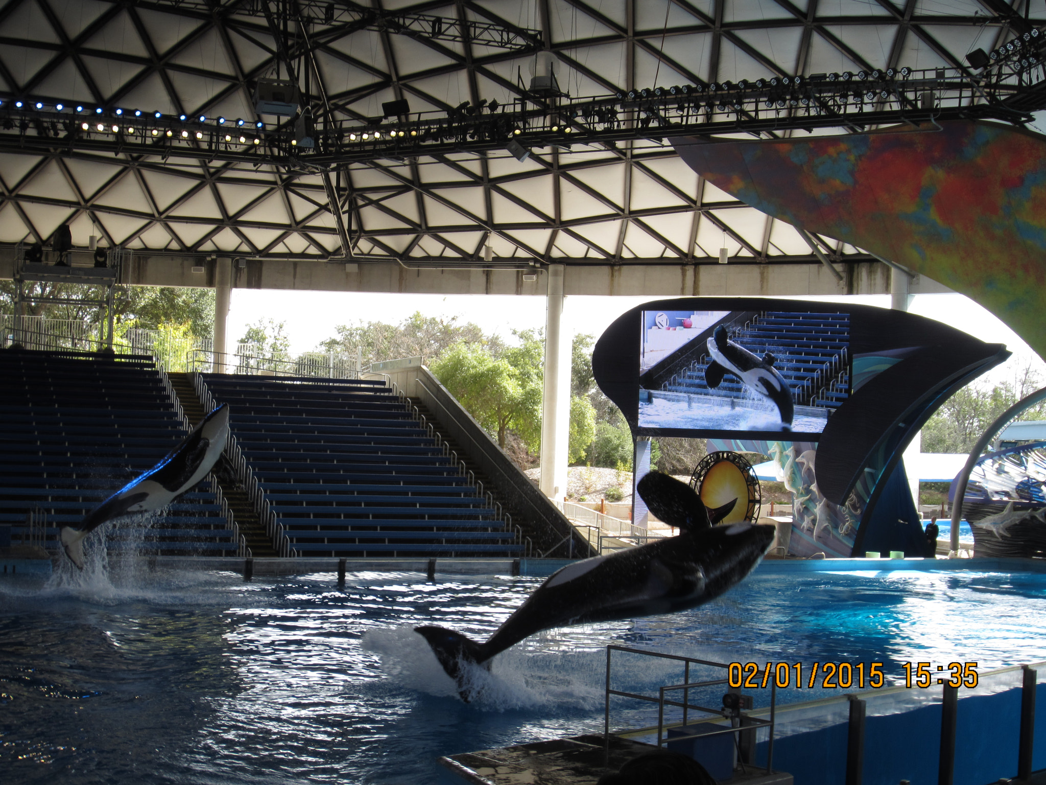 Canon PowerShot ELPH 300 HS (IXUS 220 HS / IXY 410F) sample photo. Seaworld san antonio photography