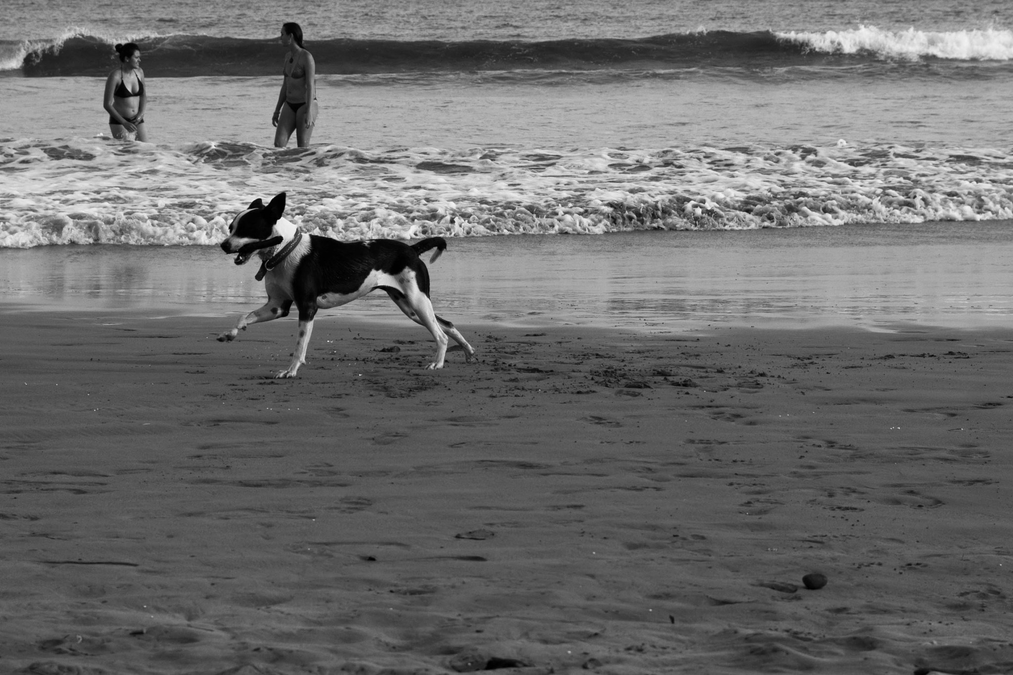 Tamron SP AF 17-50mm F2.8 XR Di II LD Aspherical (IF) sample photo. Playa sámara photography