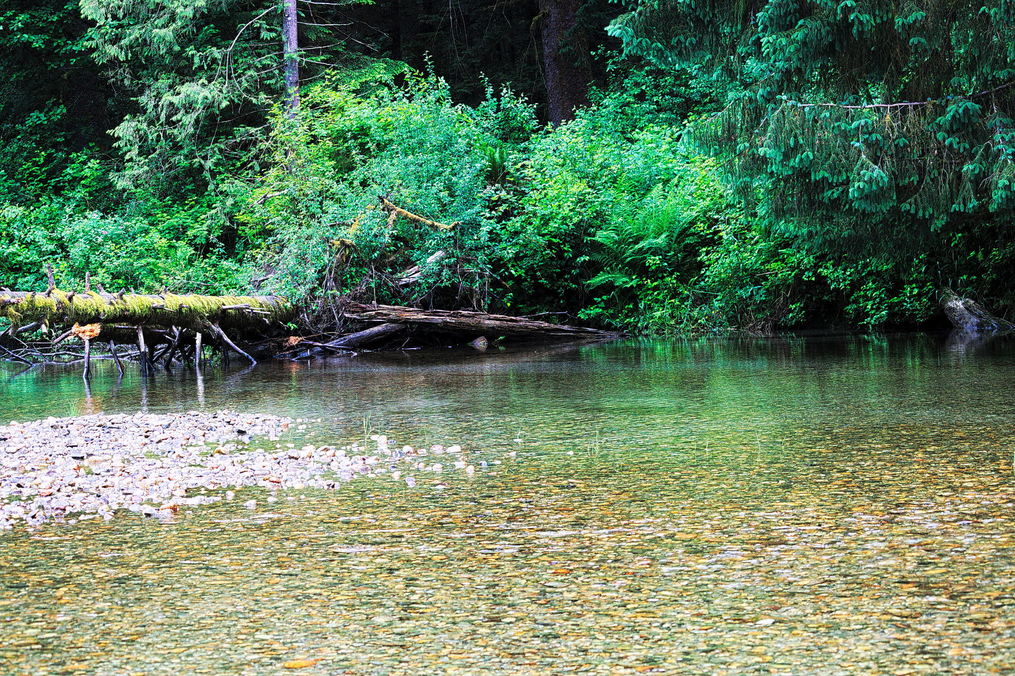 Canon EF-S 55-250mm F4-5.6 IS STM sample photo. Creek photography
