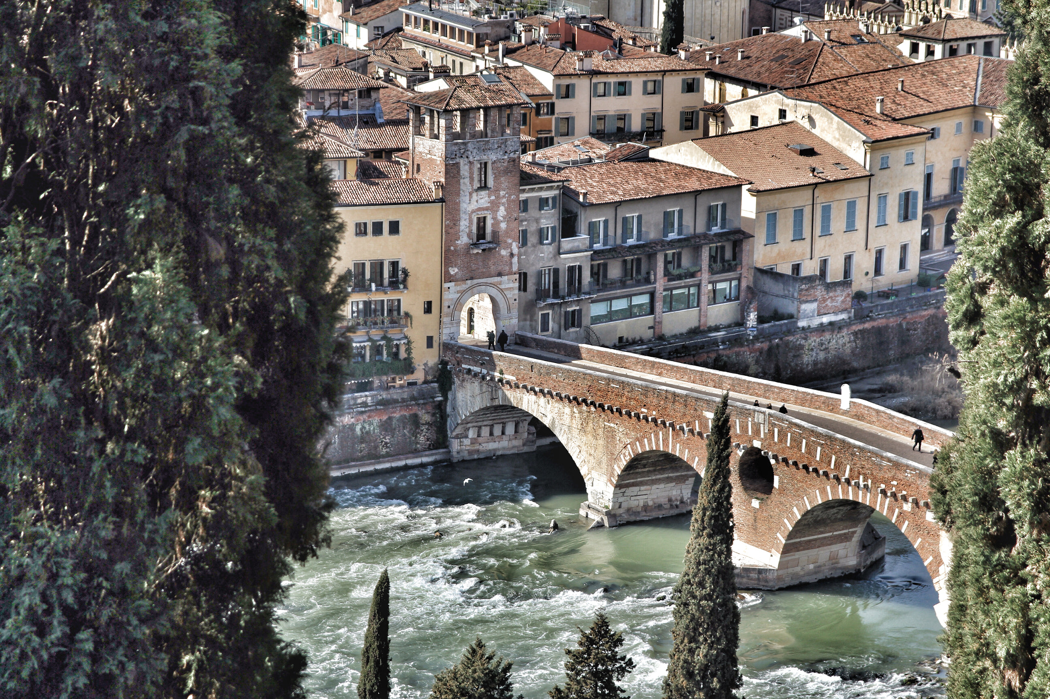 Canon 17-70mm sample photo. Verona photography