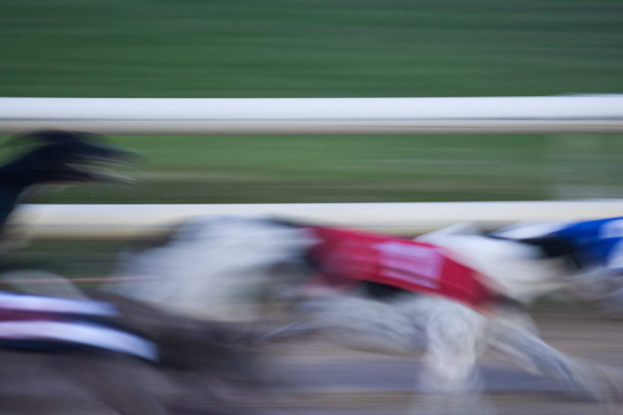 Canon EOS-1D Mark II N + Canon EF 70-210mm f/3.5-4.5 USM sample photo. Dog race photography