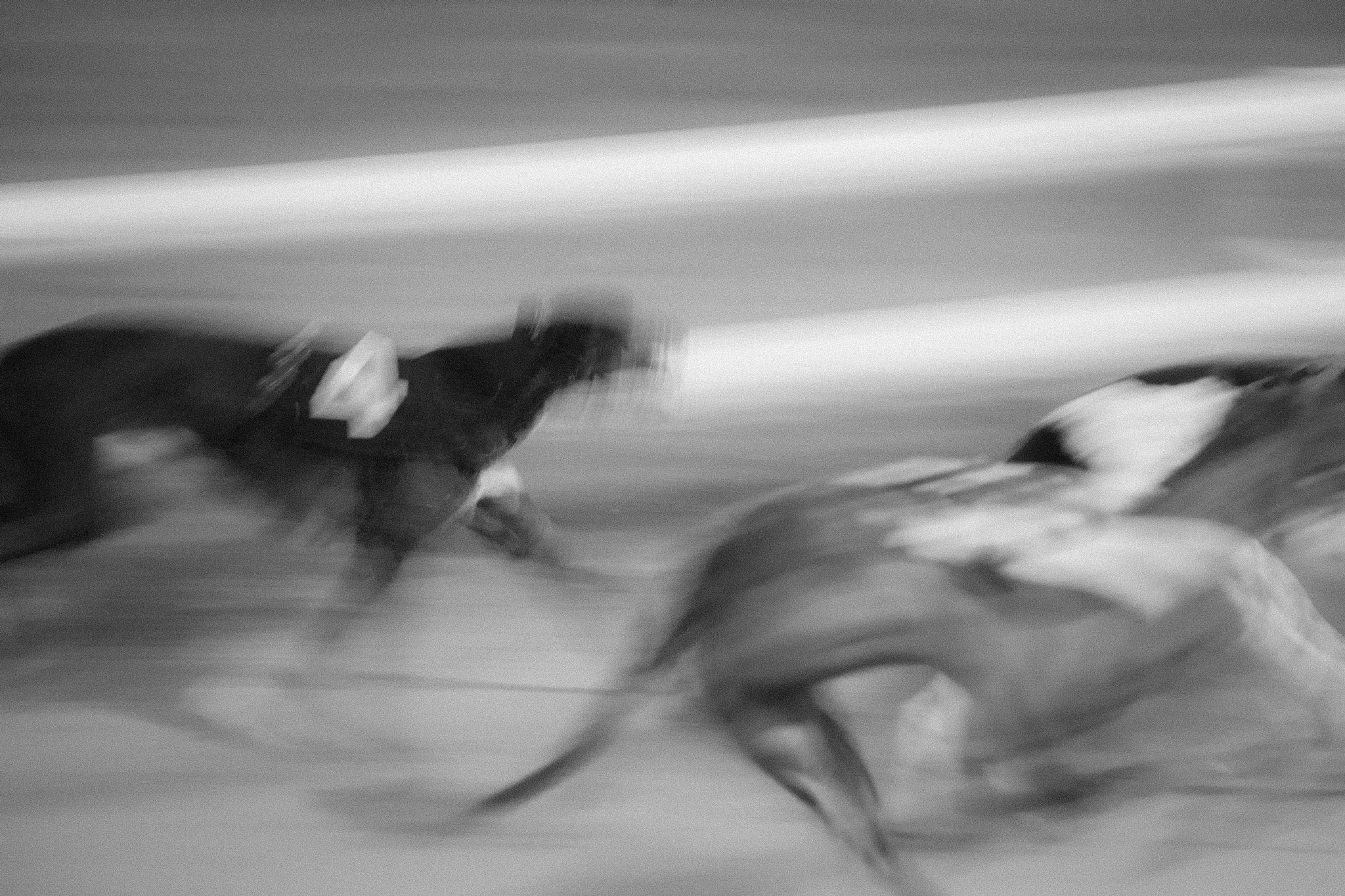 Canon EF 70-210mm f/3.5-4.5 USM sample photo. Dog race photography