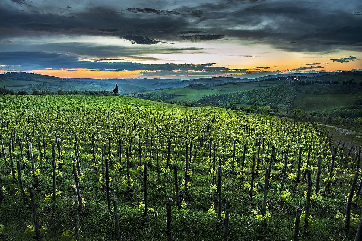 Pentax smc DA 14mm F2.8 ED (IF) sample photo. Toscana photography