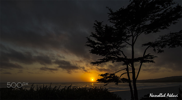 Nikon D5 sample photo. Sunset carmel photography