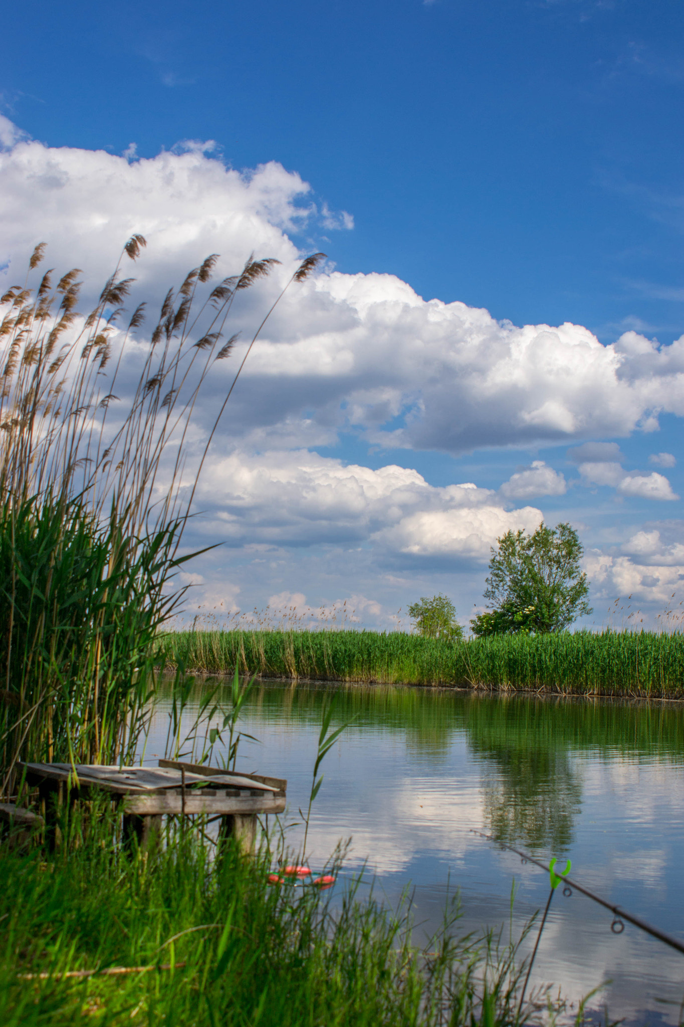 AF Zoom-Nikkor 28-200mm f/3.5-5.6D IF sample photo. Fishing on the river photography