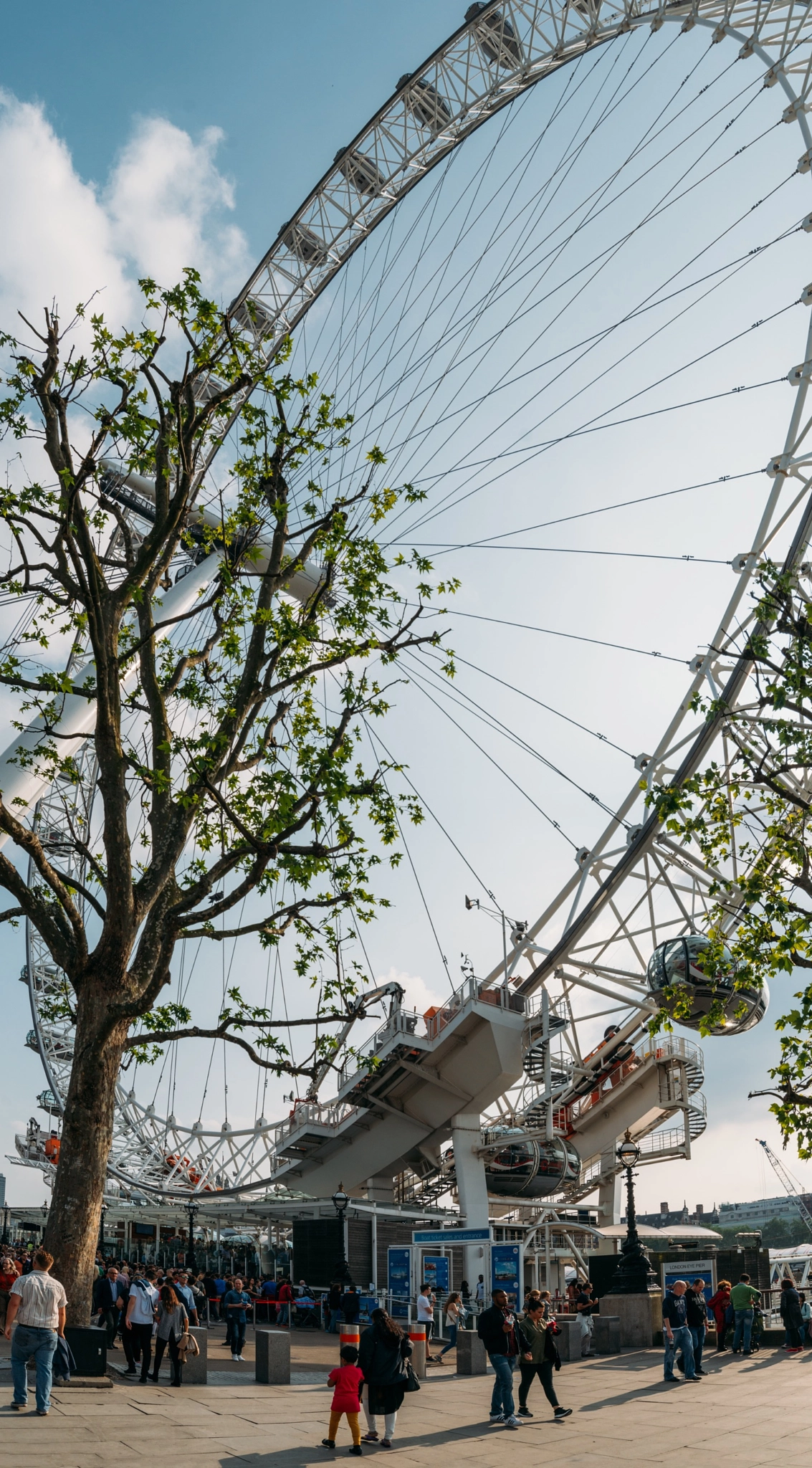 Nikon AF-S Nikkor 18-35mm F3.5-4.5G ED sample photo. London eye photography
