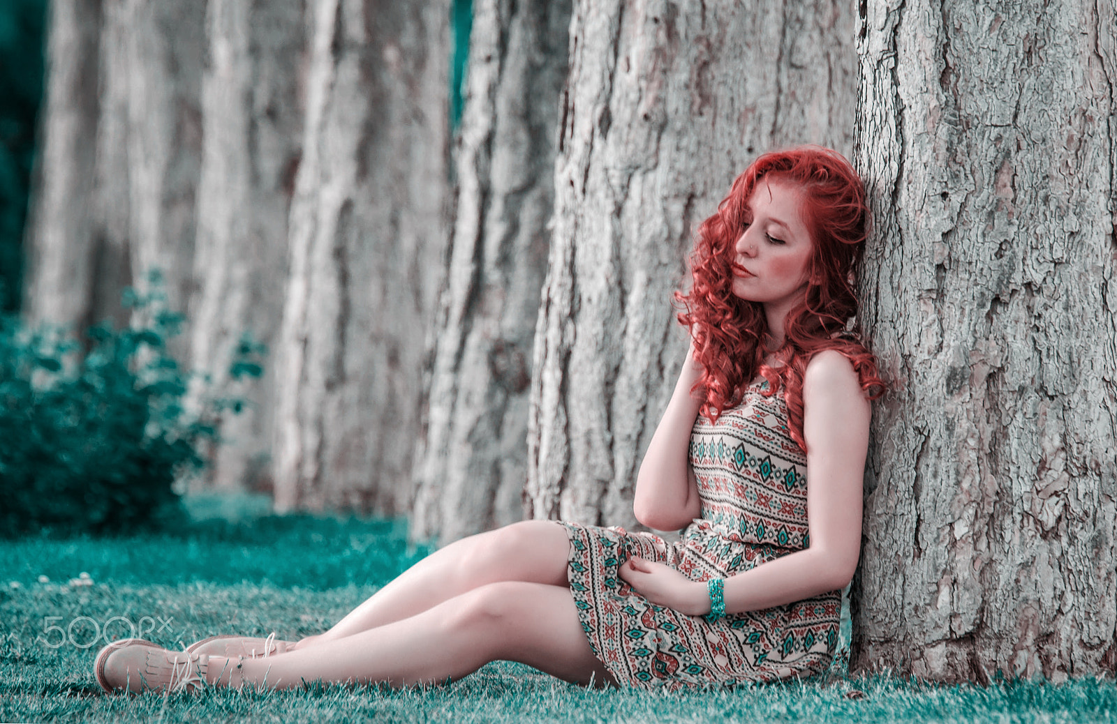 Nikon AF-S Nikkor 70-200mm F2.8G ED VR II sample photo. Fairy tale photography