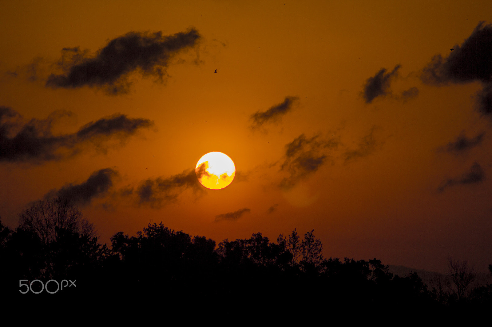 Canon EF 55-200mm F4.5-5.6 II USM sample photo. Texas sunrise photography