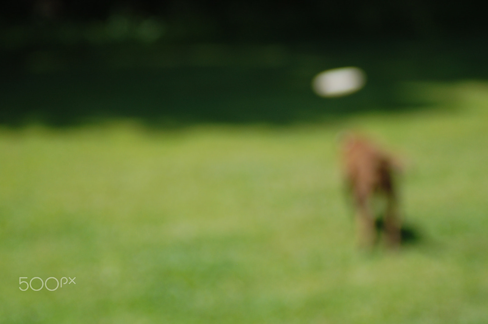 Nikon D40 sample photo. Blurred fun photography