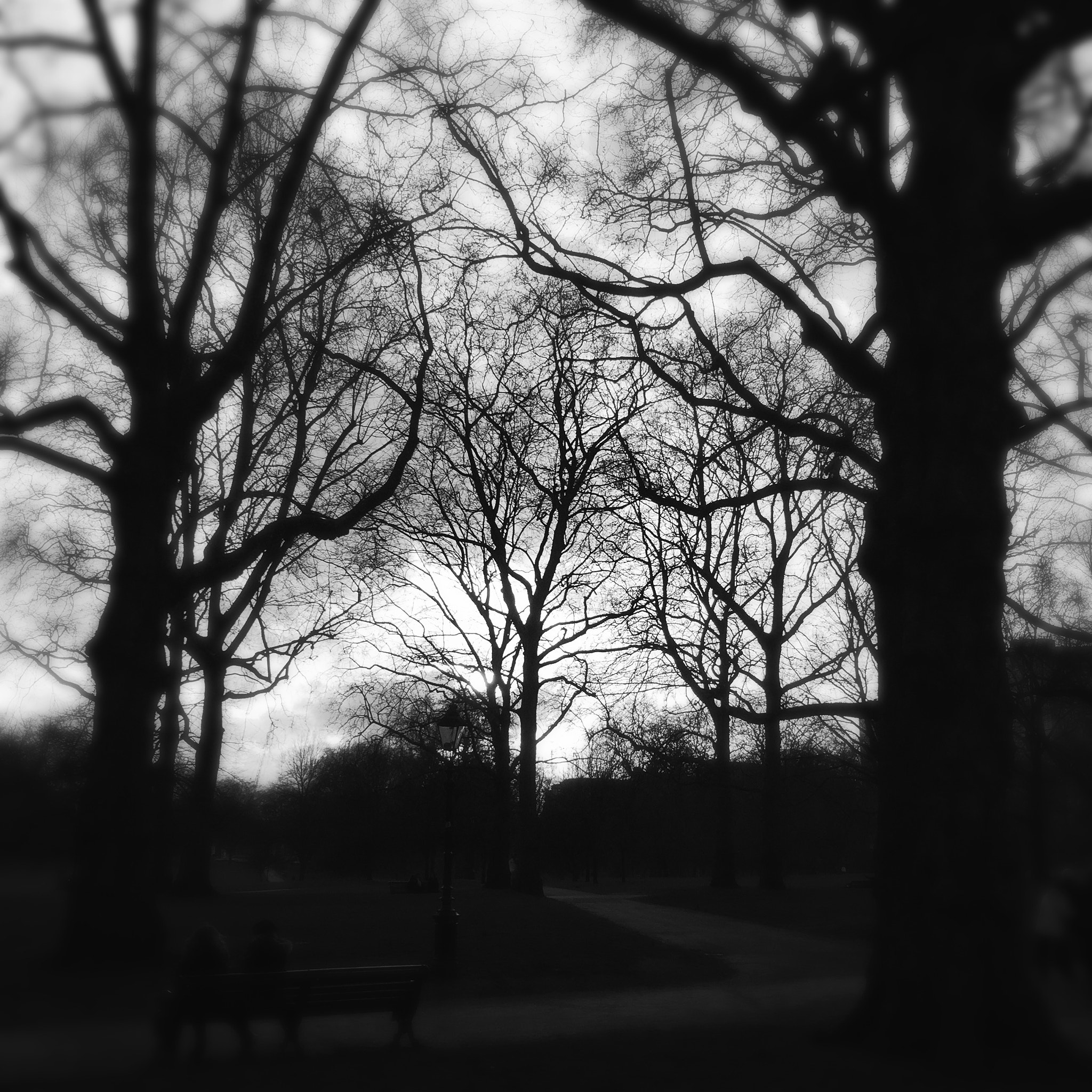 Hipstamatic 312 sample photo. Highgate park. london. photography