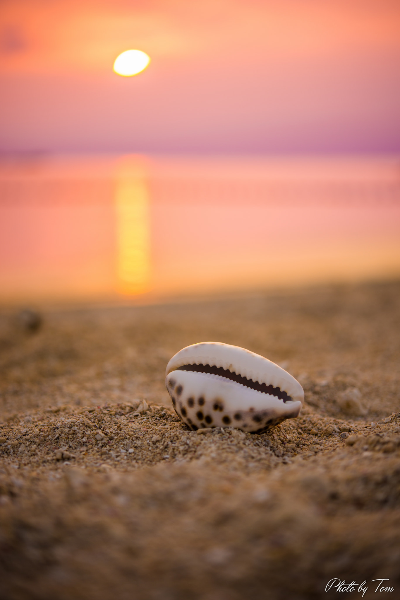 Nikon AF-S Micro-Nikkor 60mm F2.8G ED sample photo. Tropical sunset photography