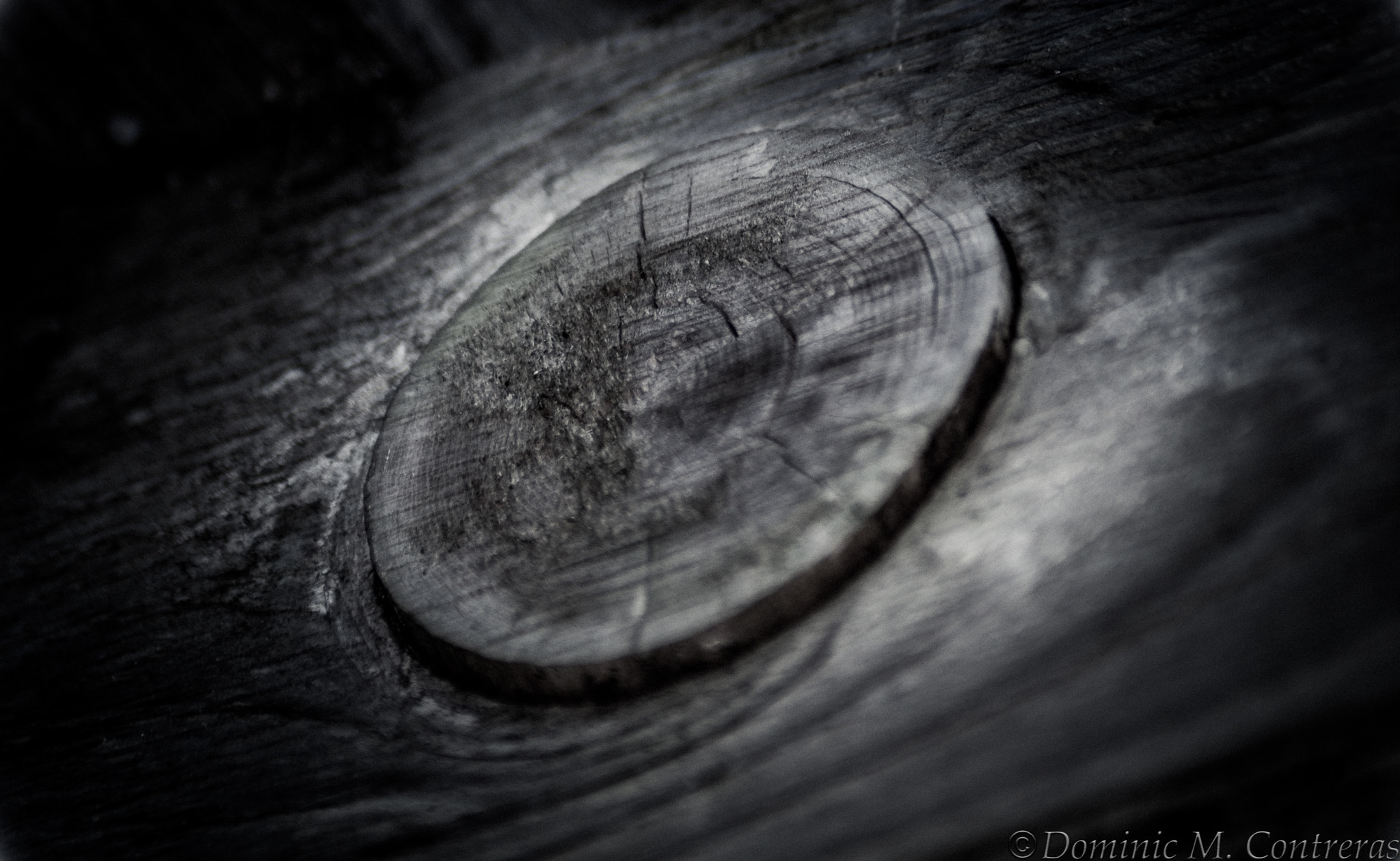 Nikon D40 + AF Zoom-Nikkor 24-50mm f/3.3-4.5 sample photo. Knot that big photography