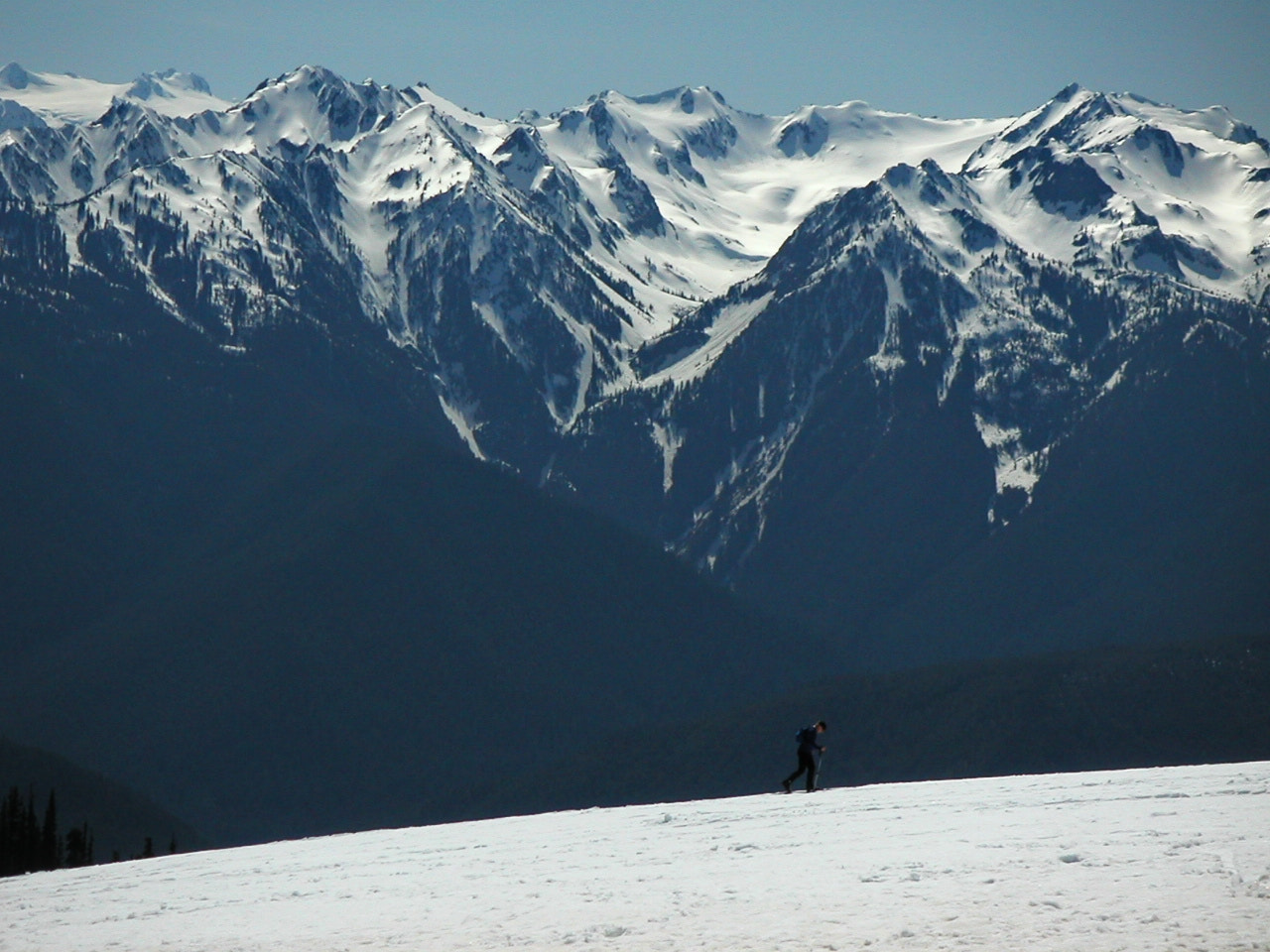 KONICA MINOLTA DiMAGE X sample photo. Olympic national park photography