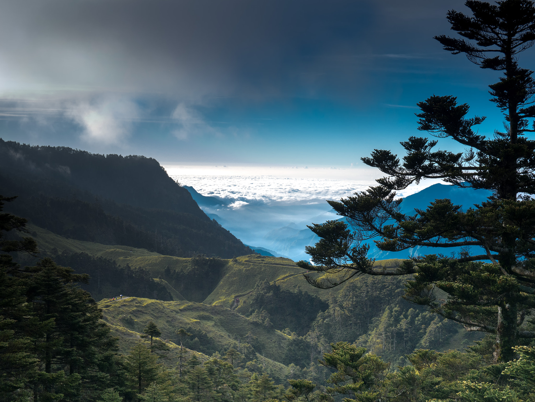 Panasonic Lumix DMC-GX7 + Panasonic Lumix G 20mm F1.7 ASPH sample photo. Over clouds photography