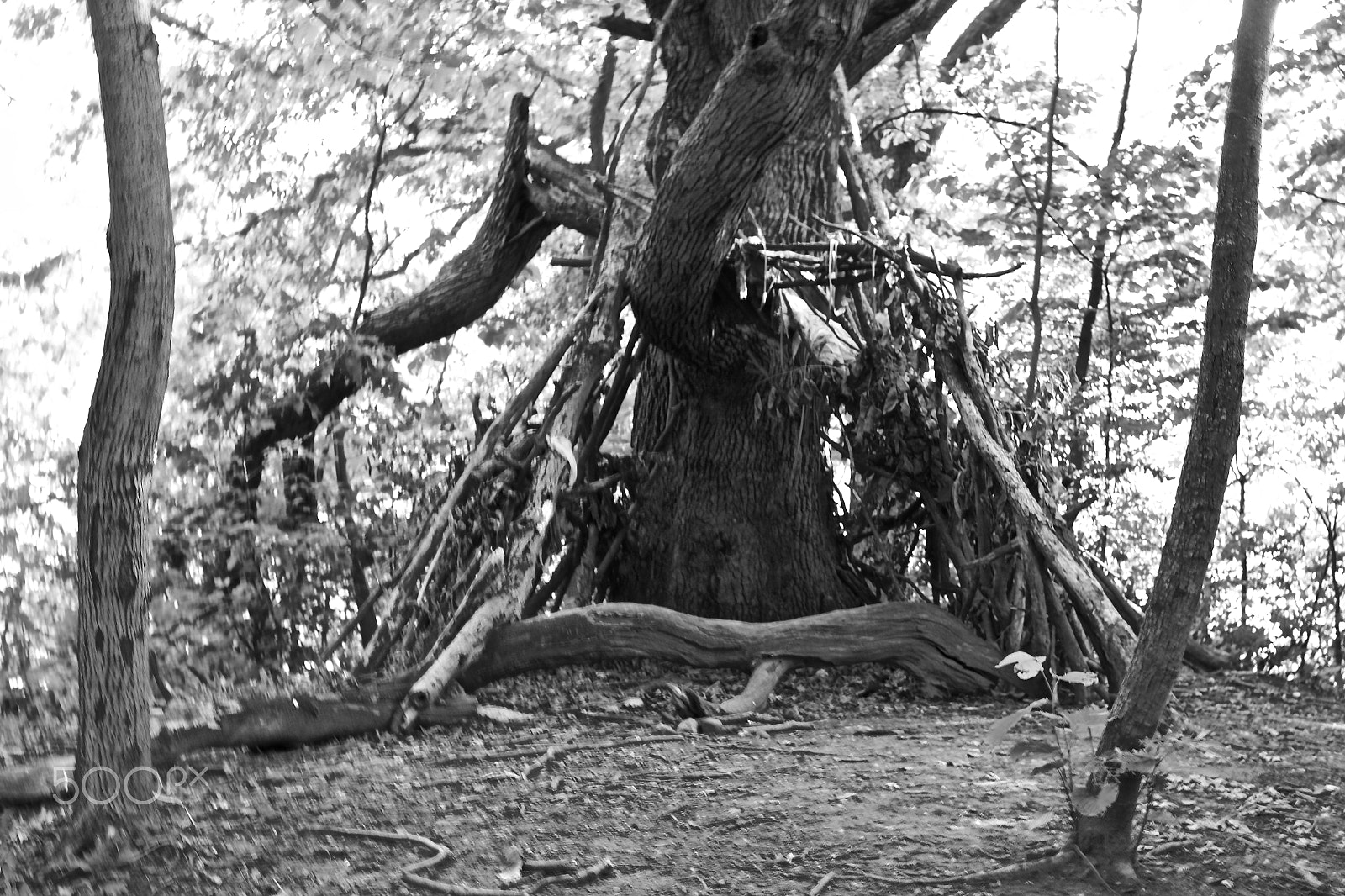 Canon EF 35mm F2 IS USM sample photo. Tree fort. photography