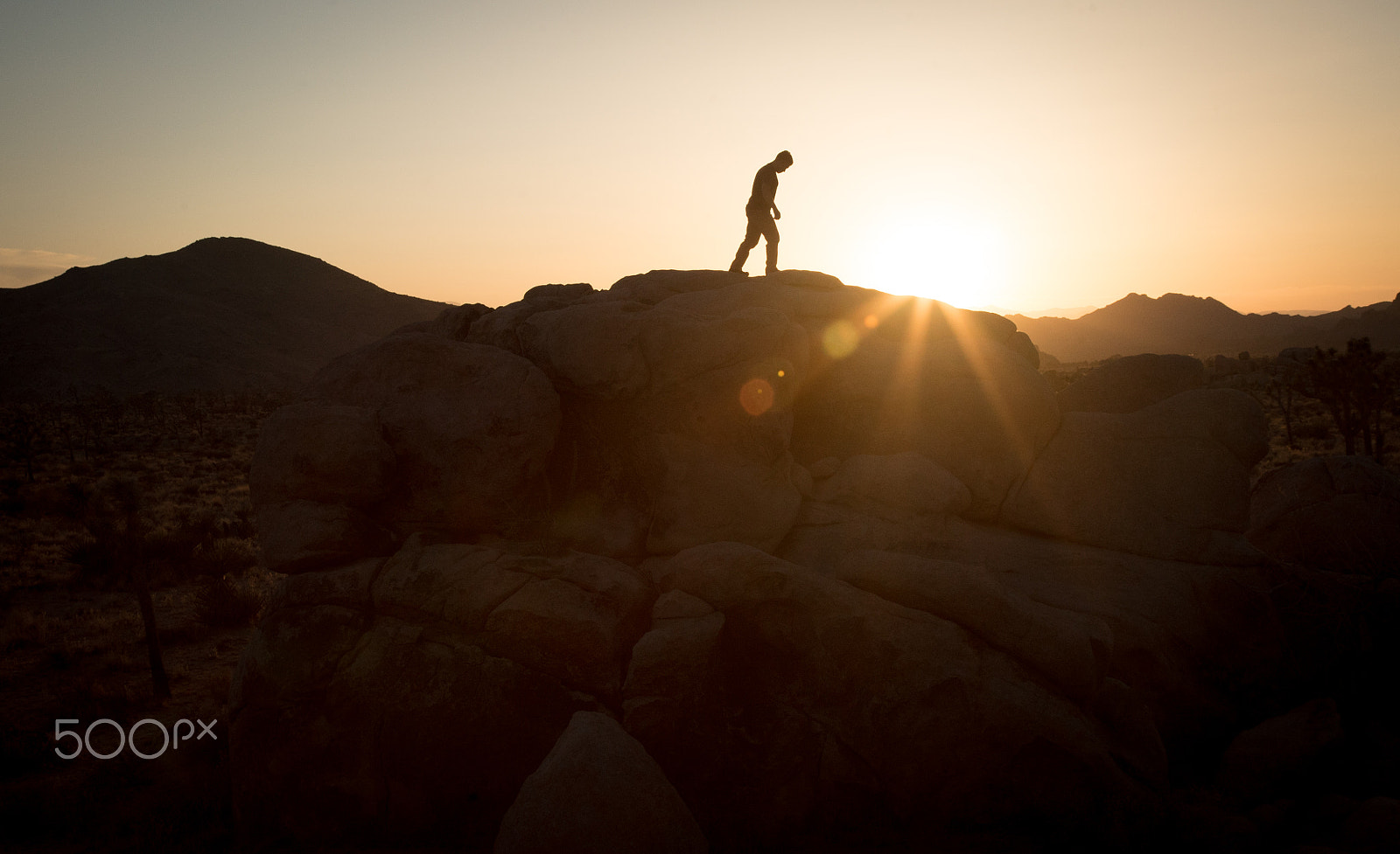 24-105mm F4 G SSM OSS sample photo. Sunset silhouette photography