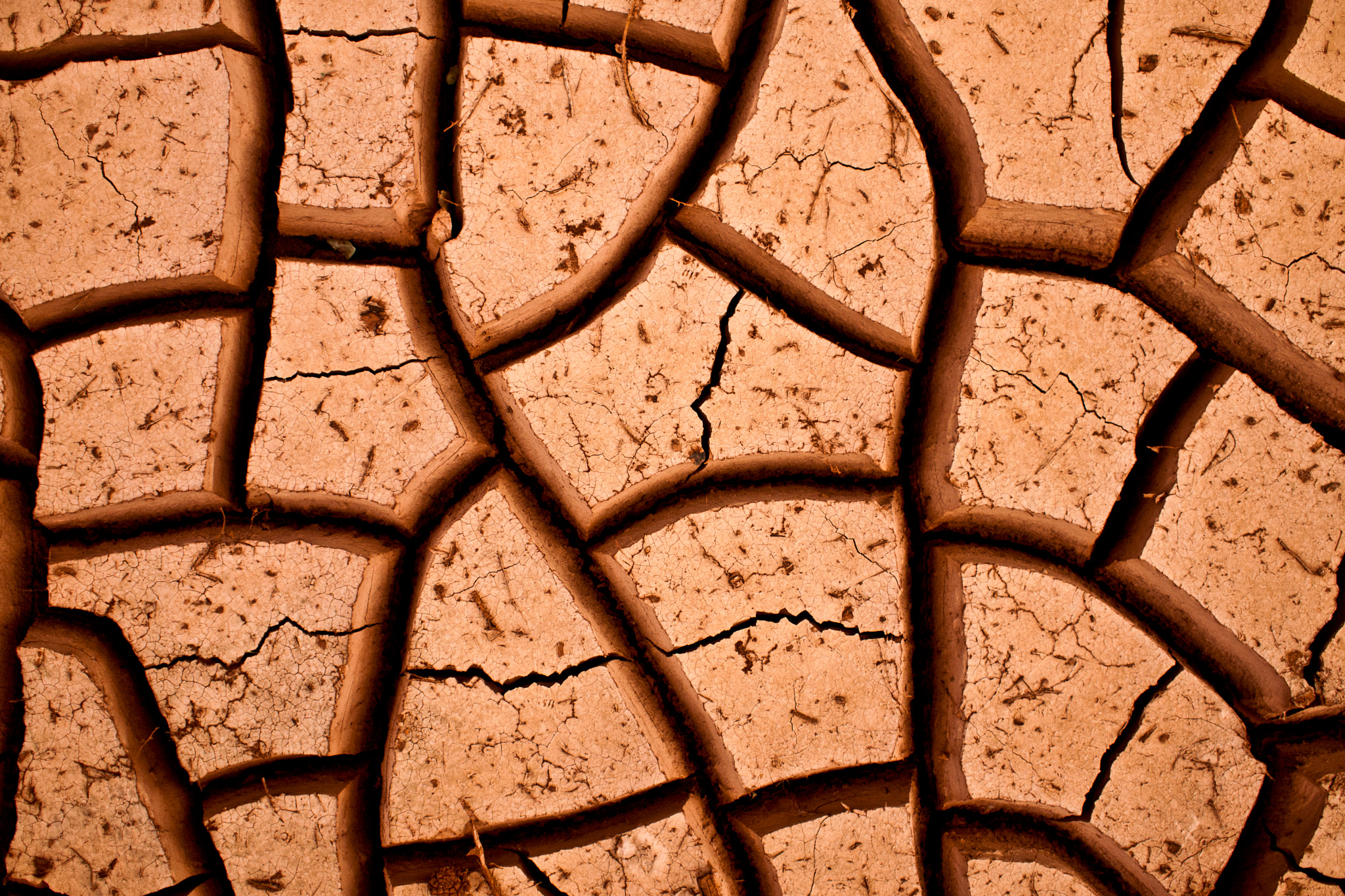 Olympus M.Zuiko Digital 17mm F2.8 Pancake sample photo. Red desert cracks photography