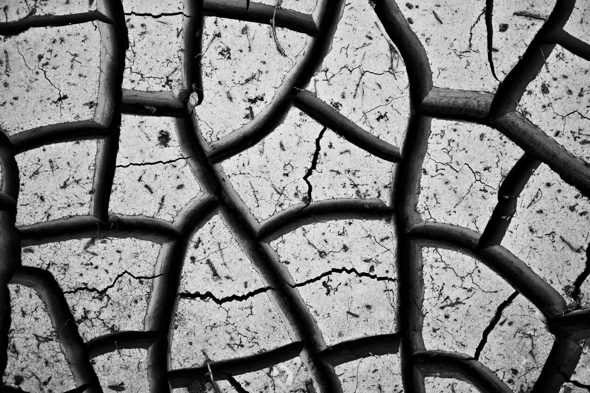 Olympus M.Zuiko Digital 17mm F2.8 Pancake sample photo. Desert ground cracks bw photography