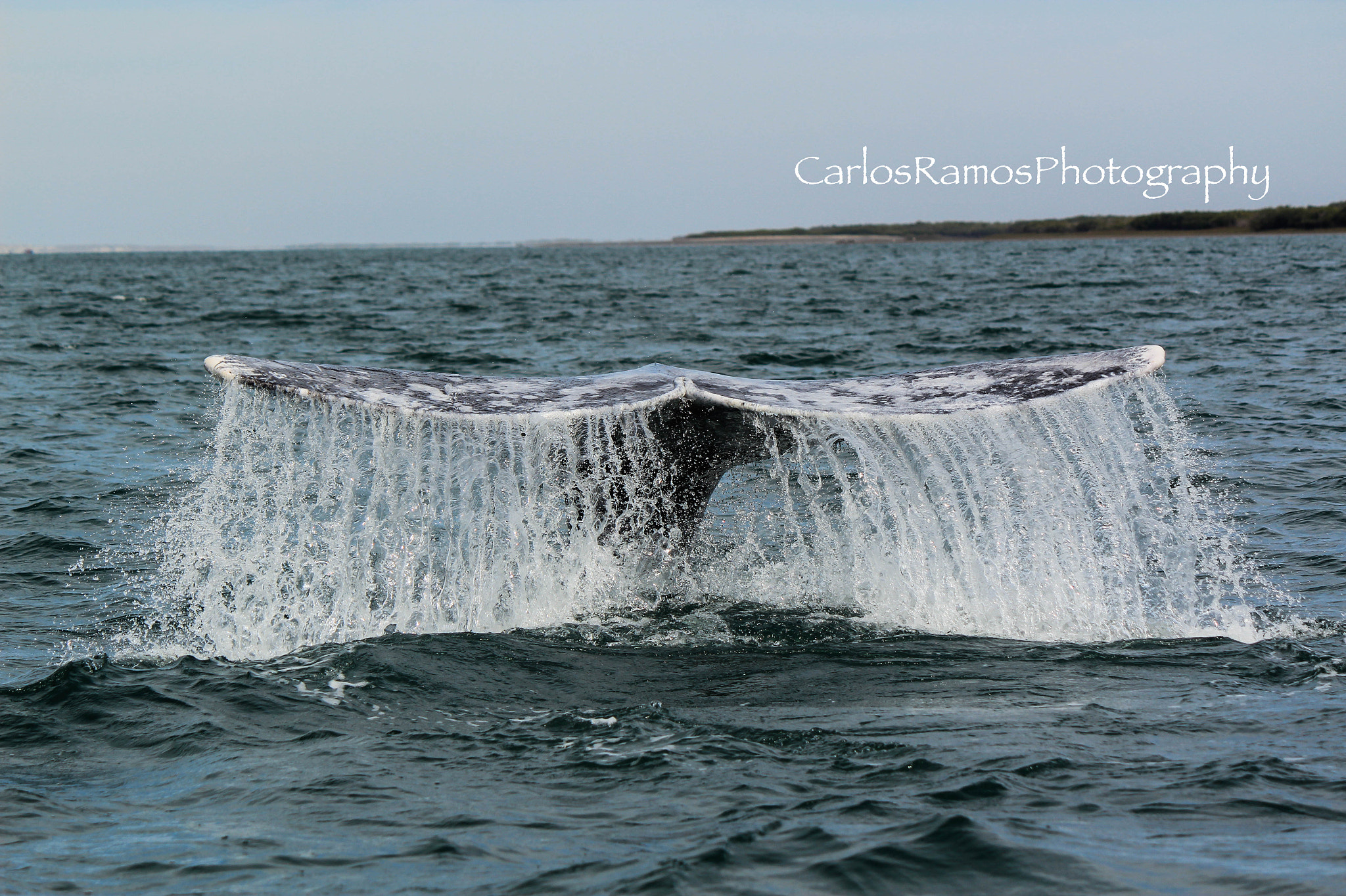 Canon EOS 600D (Rebel EOS T3i / EOS Kiss X5) sample photo. Naturaleza photography