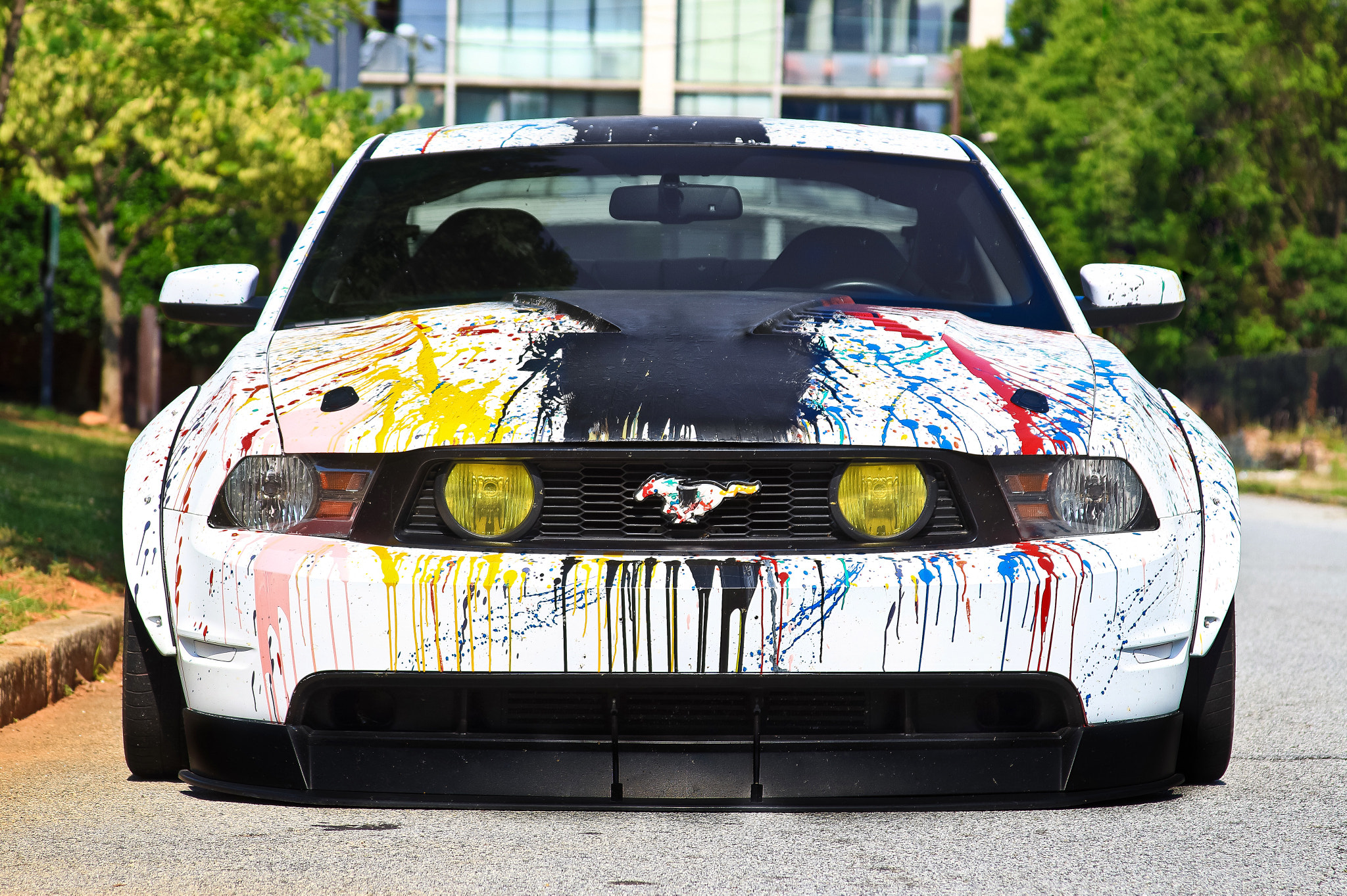 Canon EF 28-135mm F3.5-5.6 IS USM sample photo. Muscle with personality photography