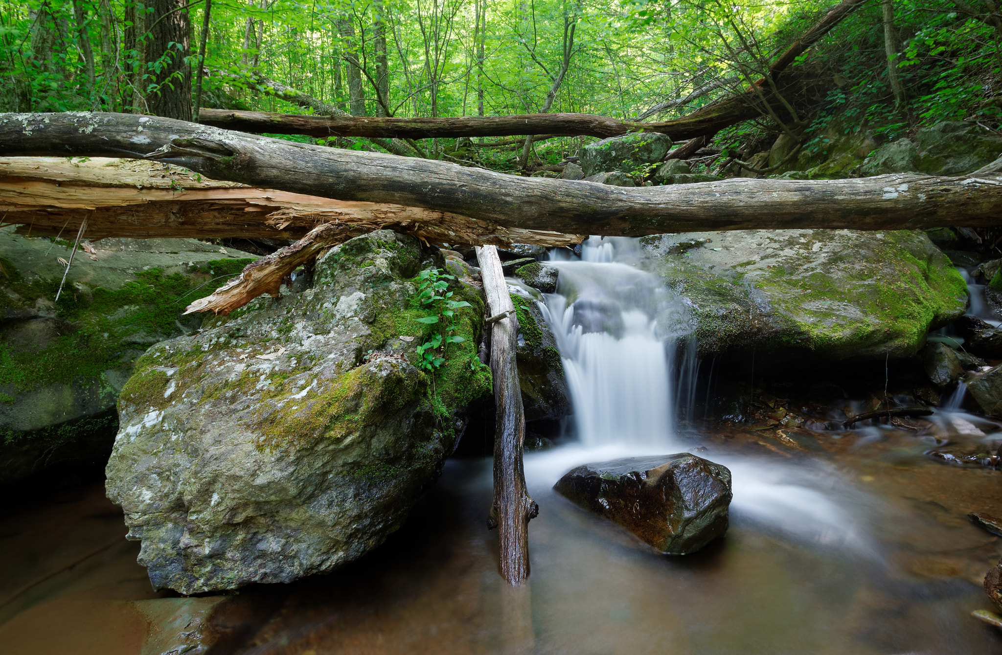 HD Pentax DA 15mm F4 ED AL Limited sample photo. Stream and logs photography