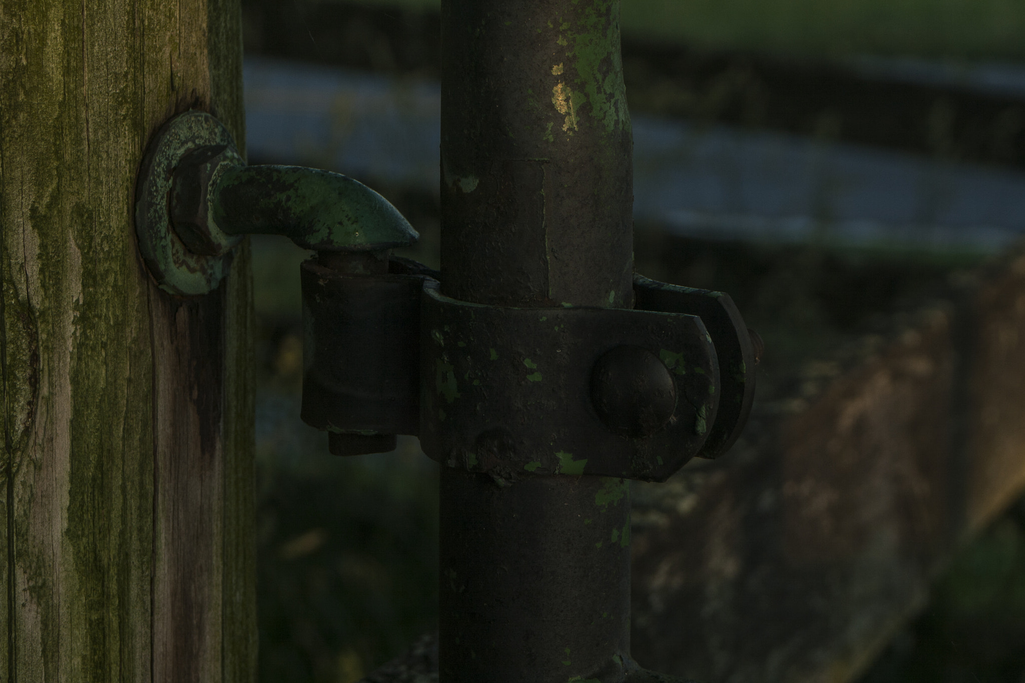 Canon EF 28-80mm f/3.5-5.6 sample photo. Hinge photography