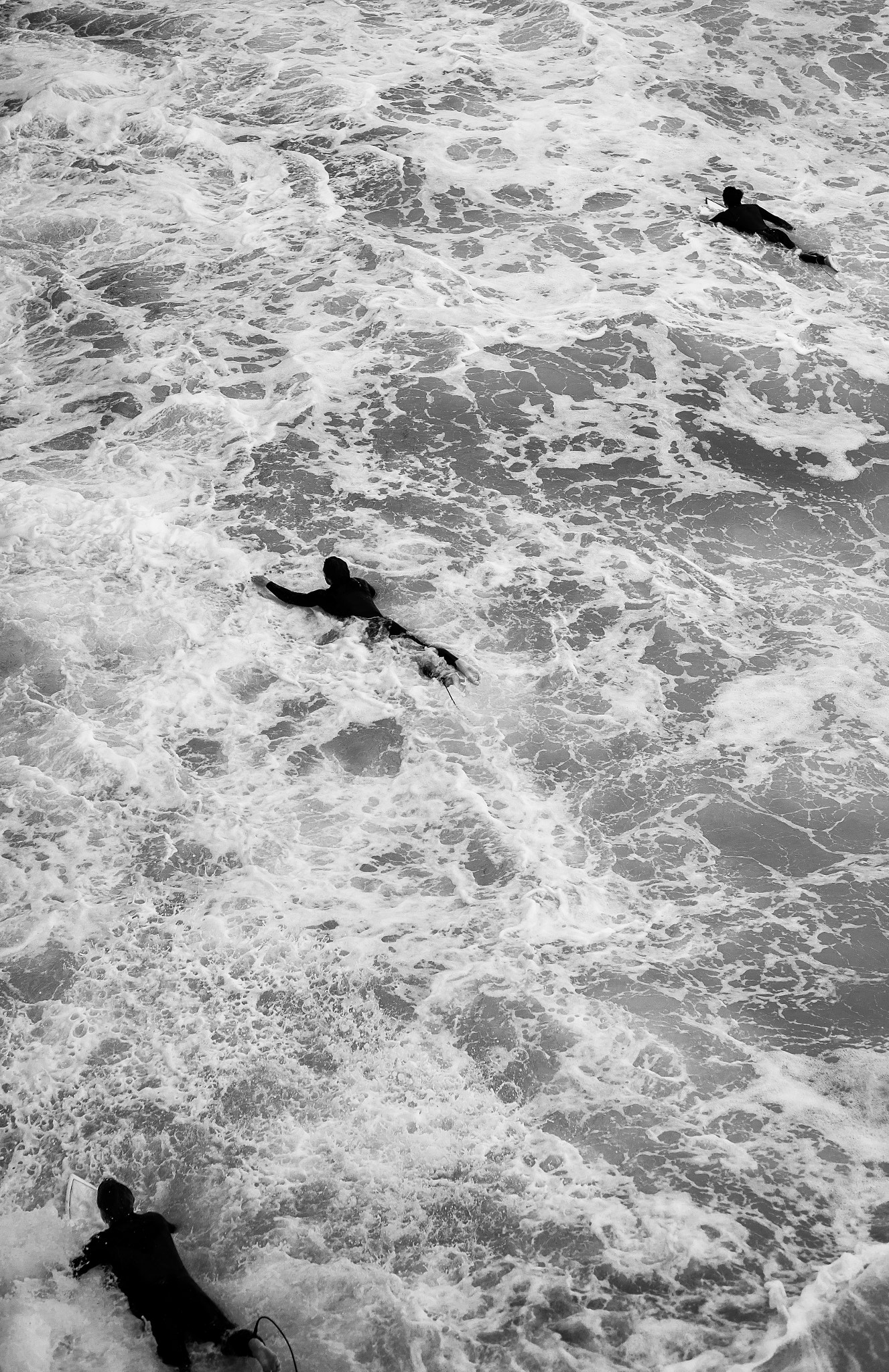 Summicron-M 1:2/50 sample photo. Wading out photography