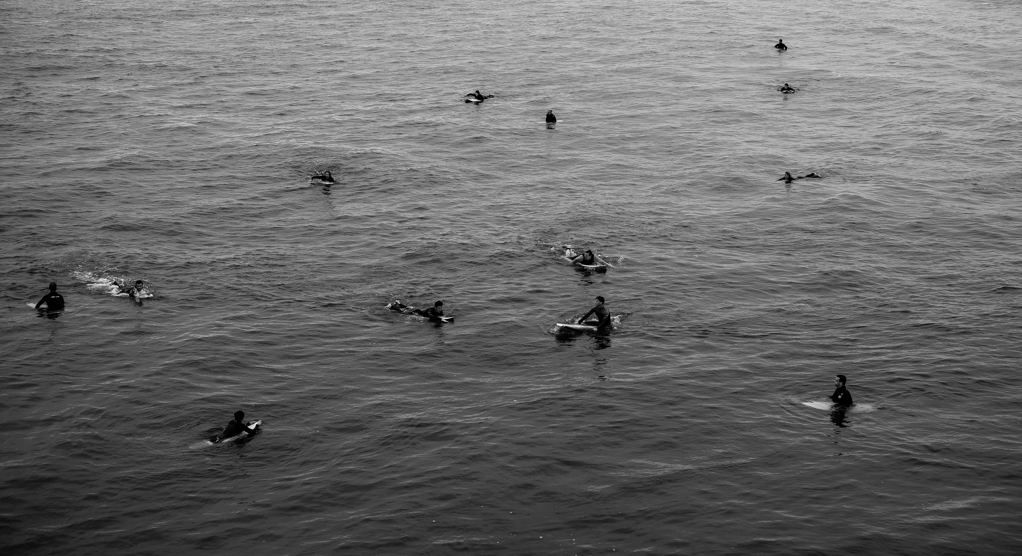 Summicron-M 1:2/50 sample photo. Waiting photography
