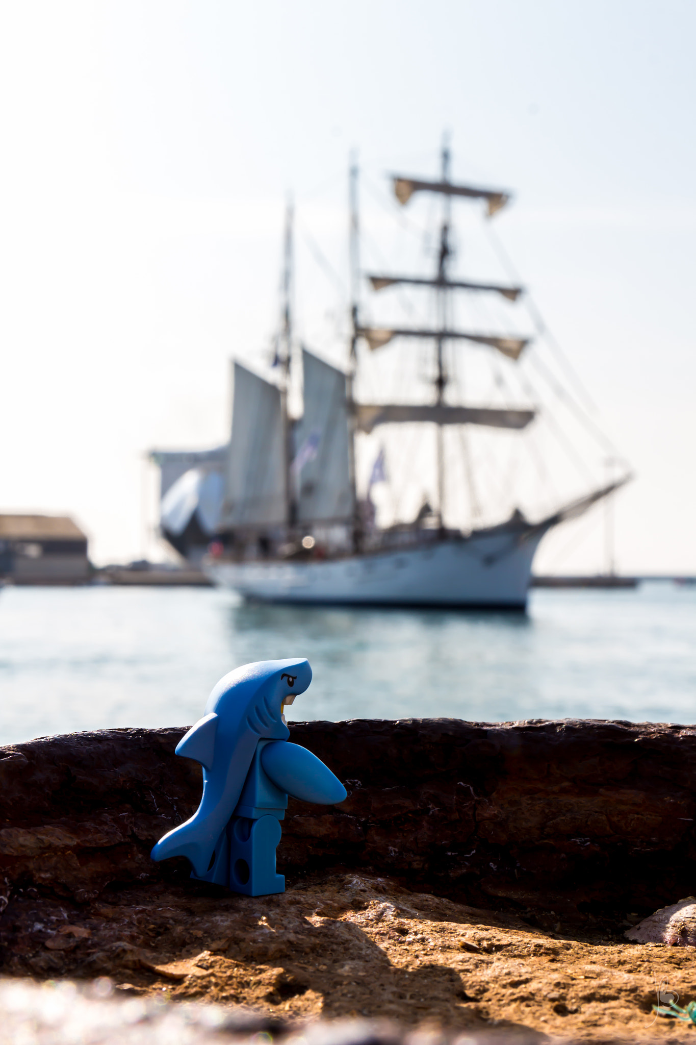 Canon EF 24-70mm F4L IS USM sample photo. Shark infested waters photography