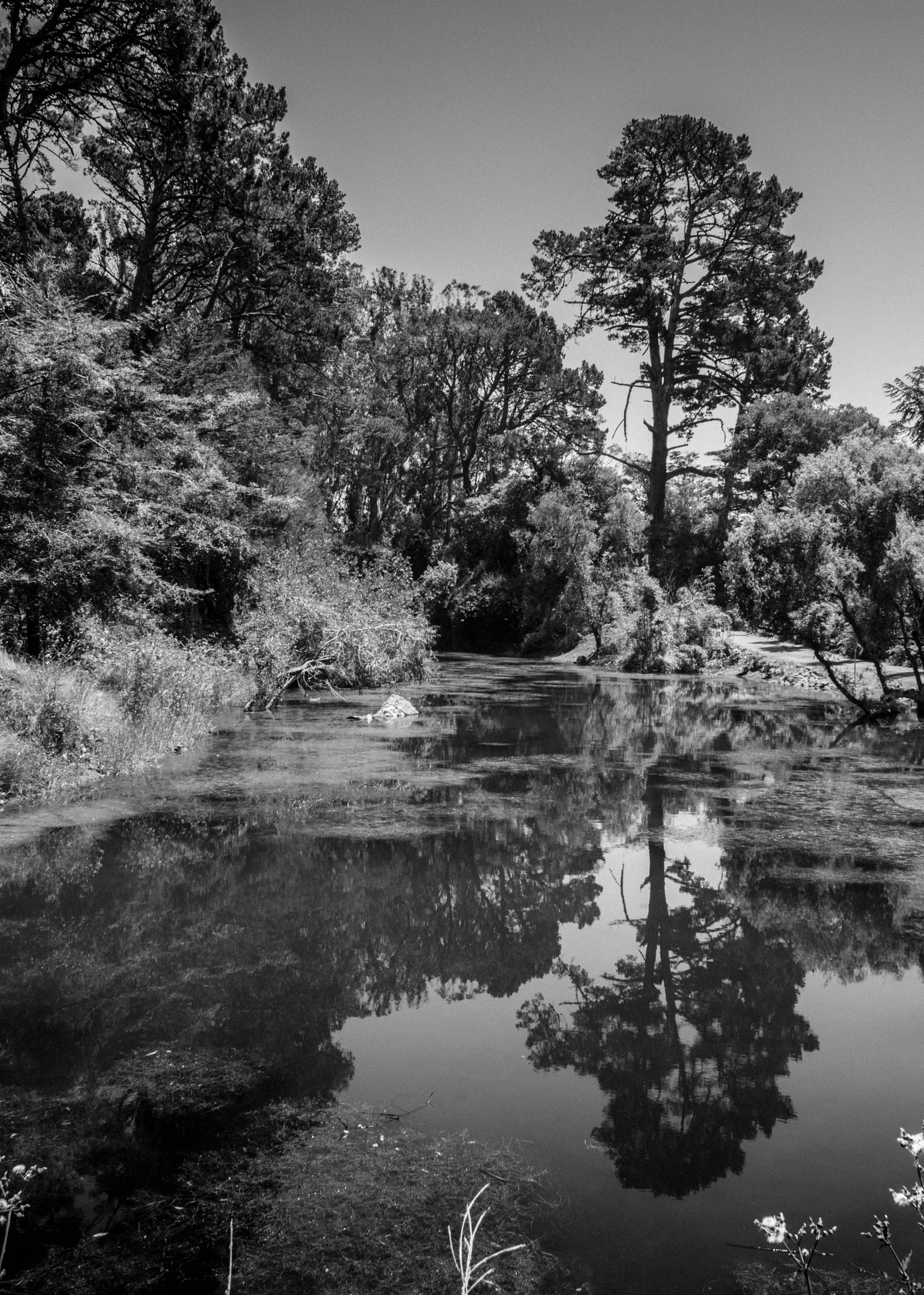 Nikon D3300 + AF Nikkor 20mm f/2.8 sample photo. A place of peace. photography