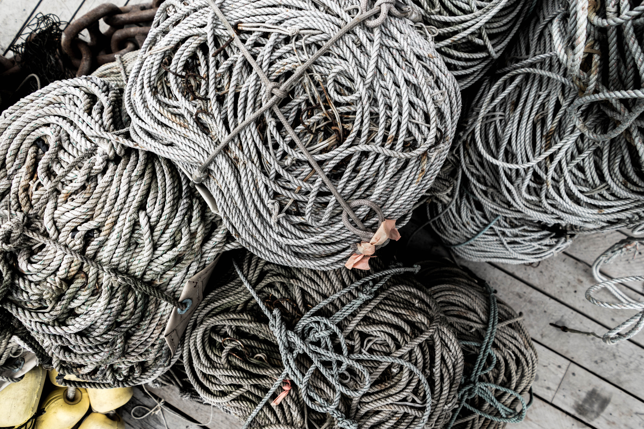 FE 21mm F2.8 sample photo. Ropes of the sea photography